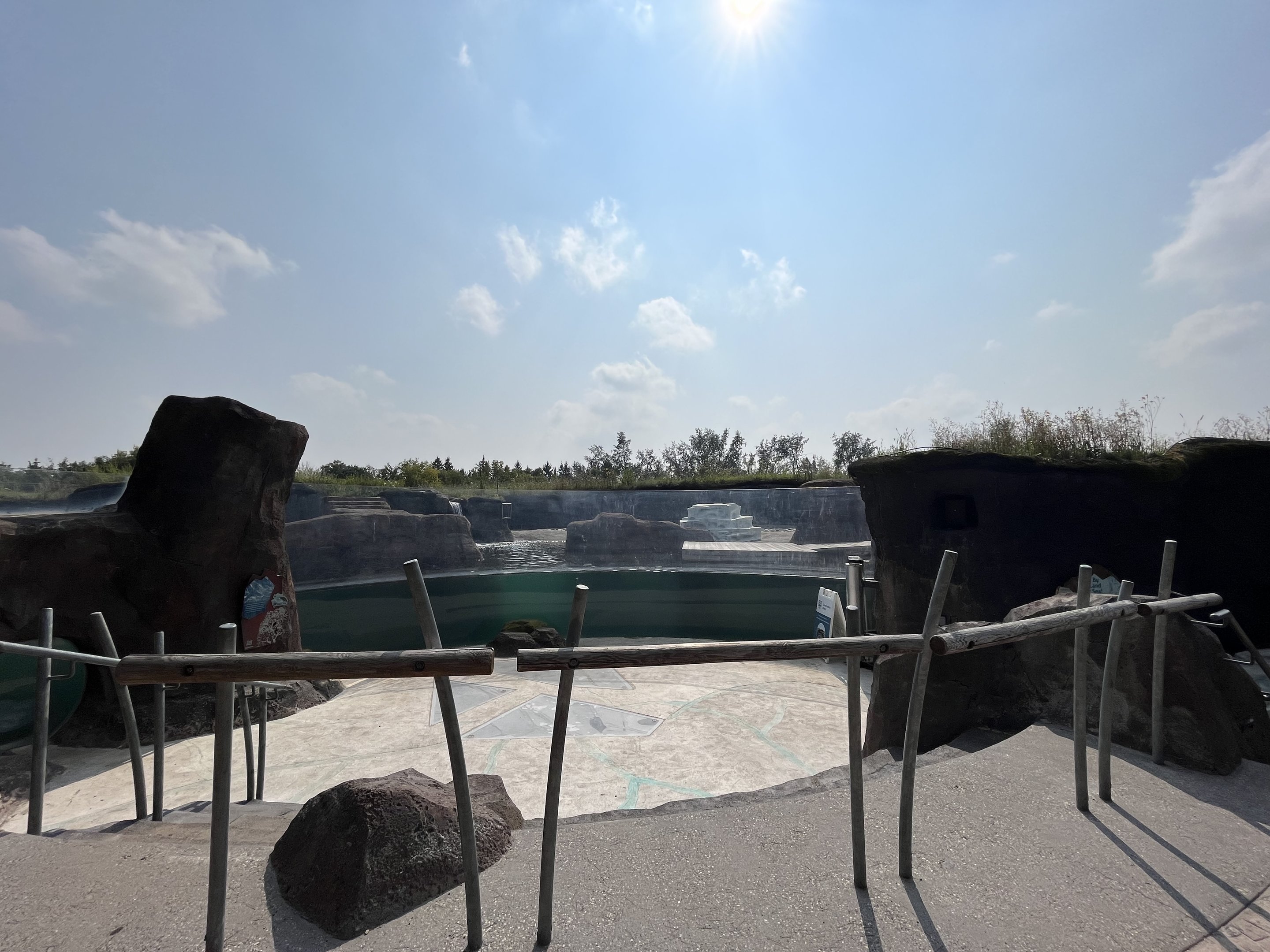 Polar Extremes - pinnipeds