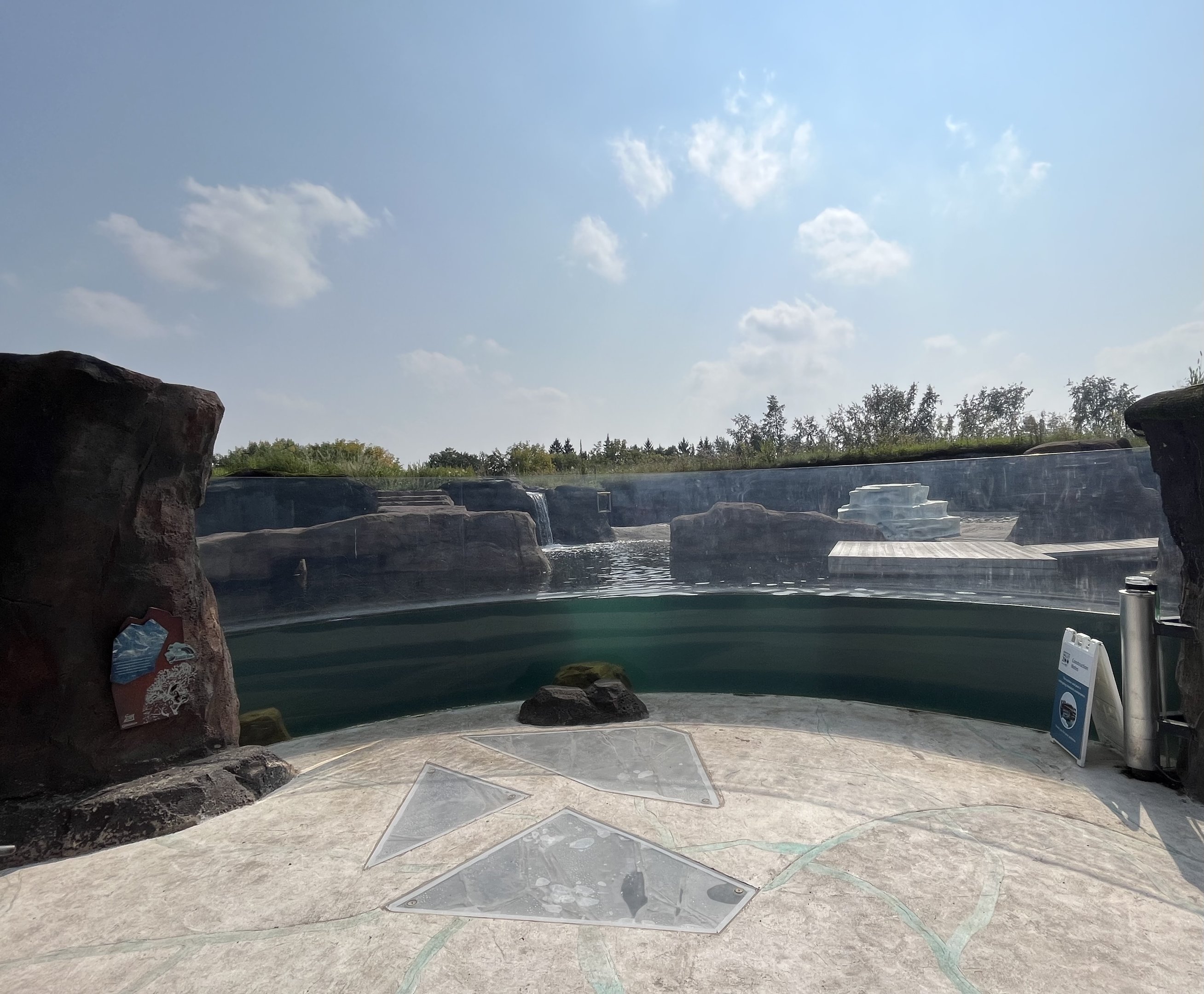 Polar Extremes - pinnipeds