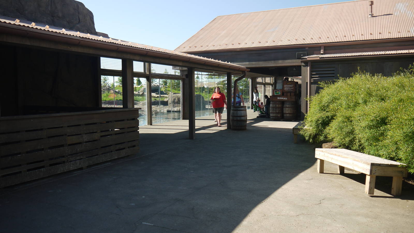 Polar Frontier - Main Polar Bear Viewing