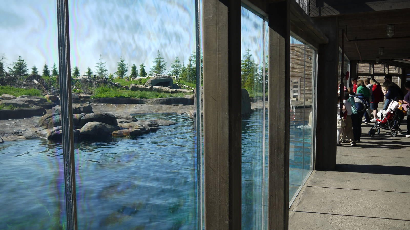 Polar Frontier - Main Polar Bear Viewing