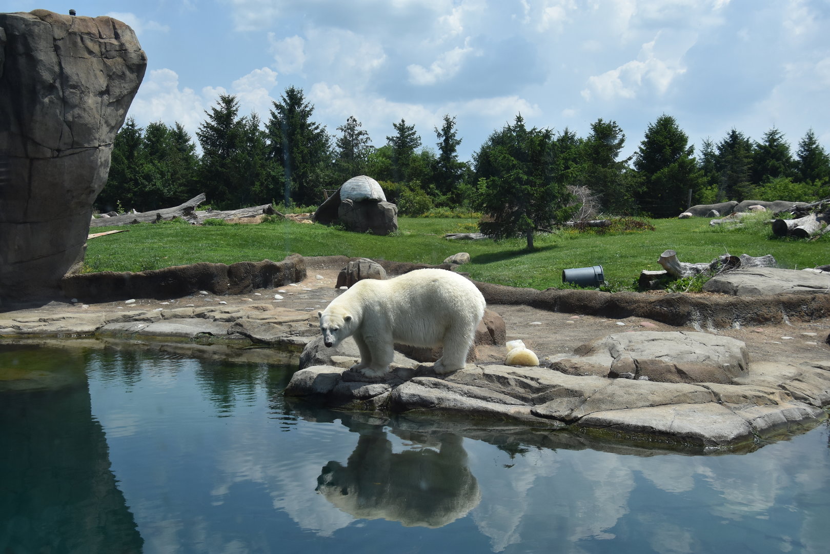 Polar Frontier - Polar bear exhibit