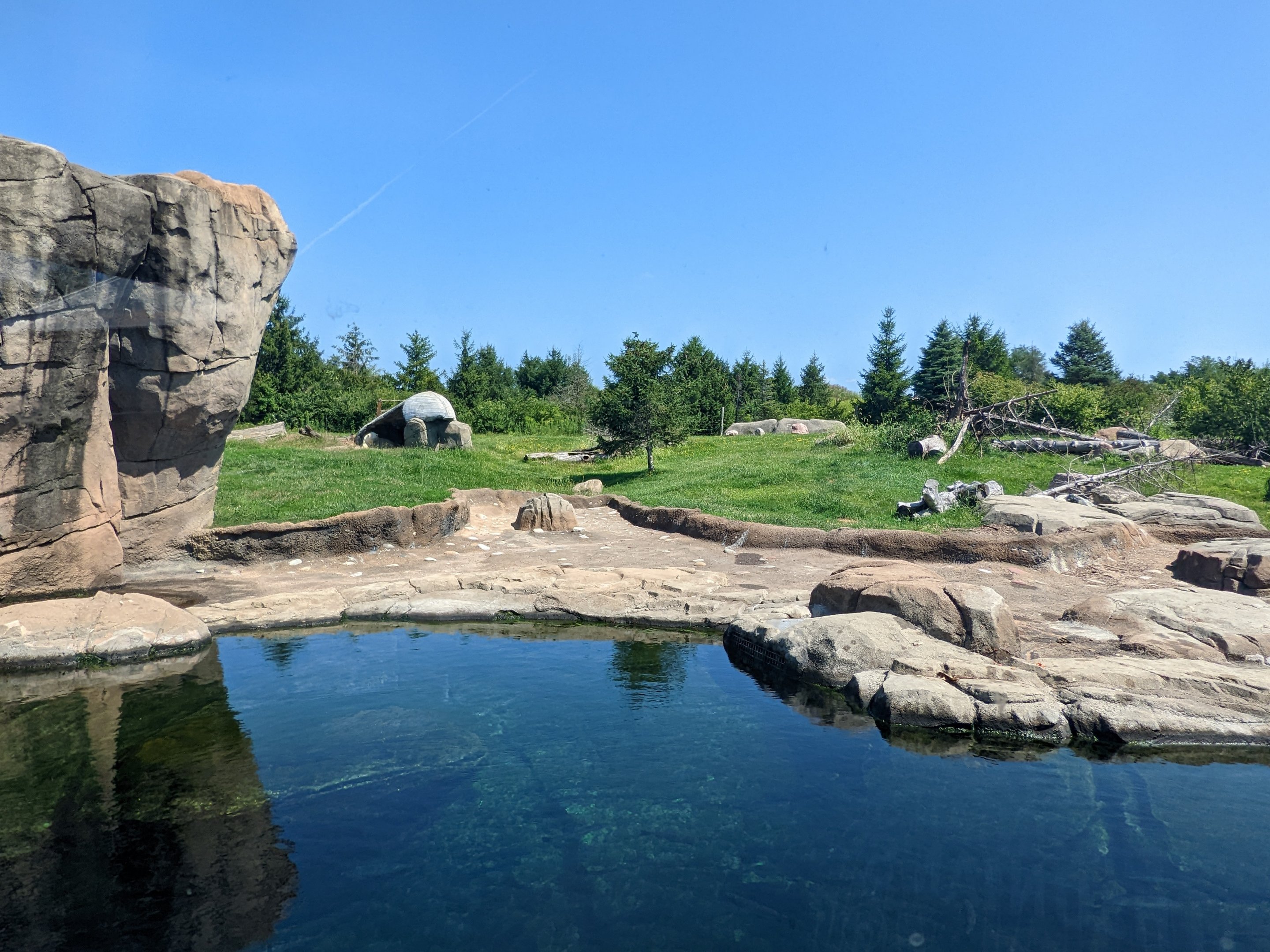 Polar Frontier - polar bear