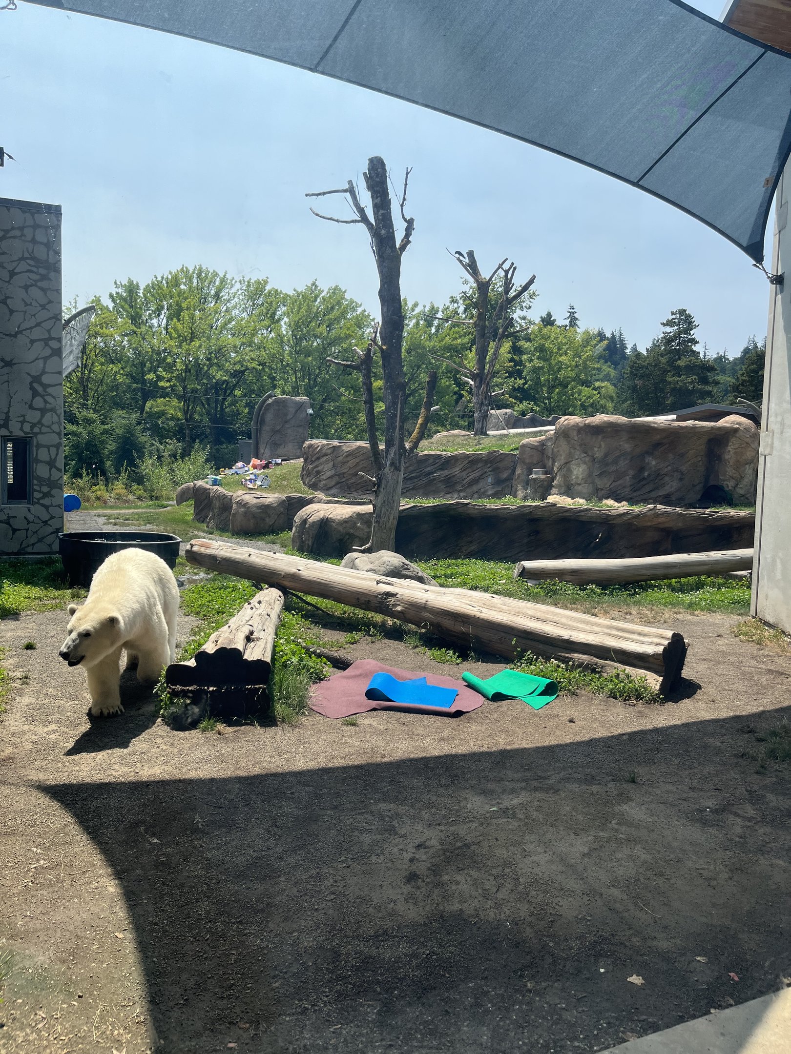 Polar Passage - New in 2021