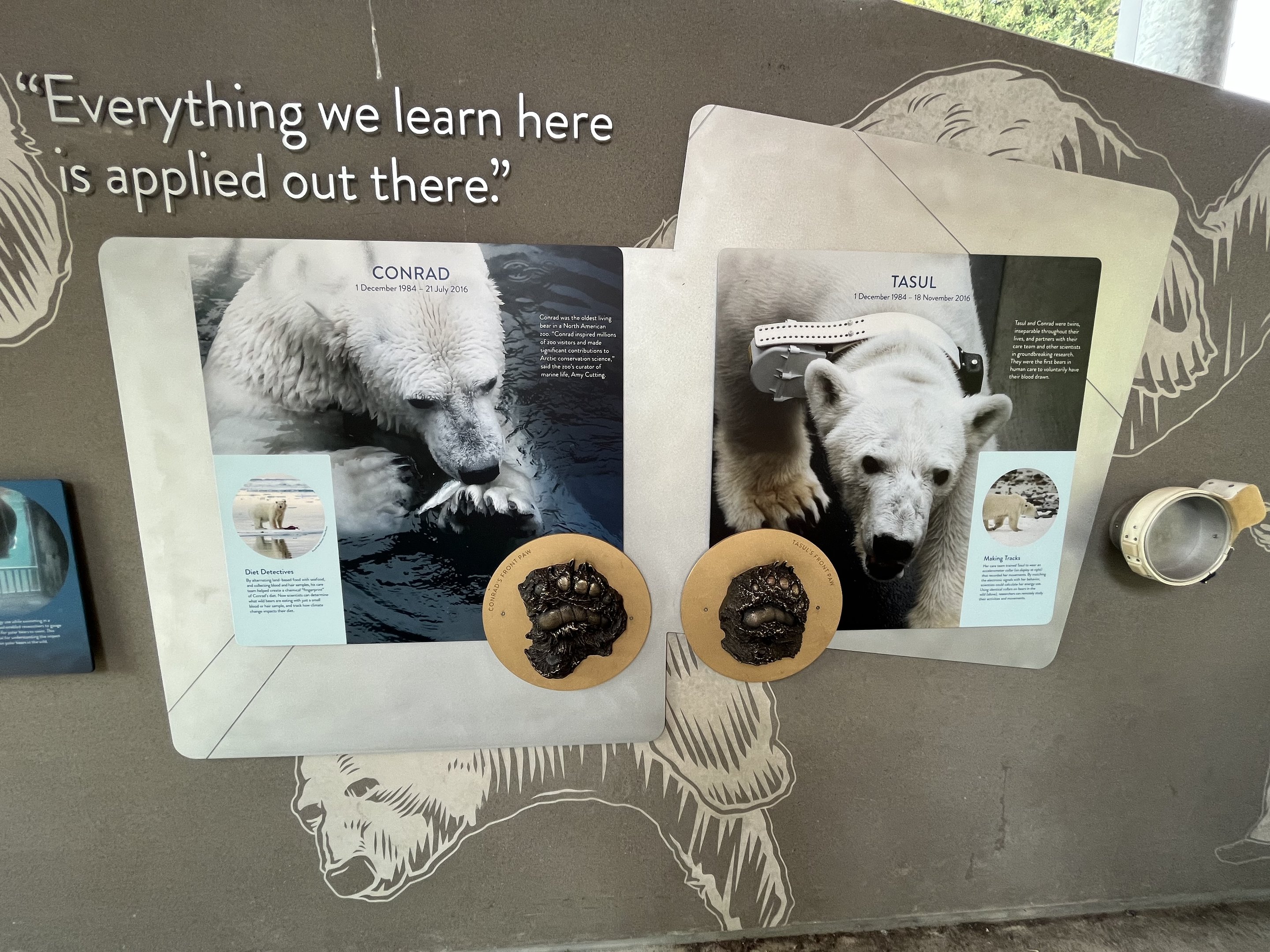 Polar Passage - New in 2021