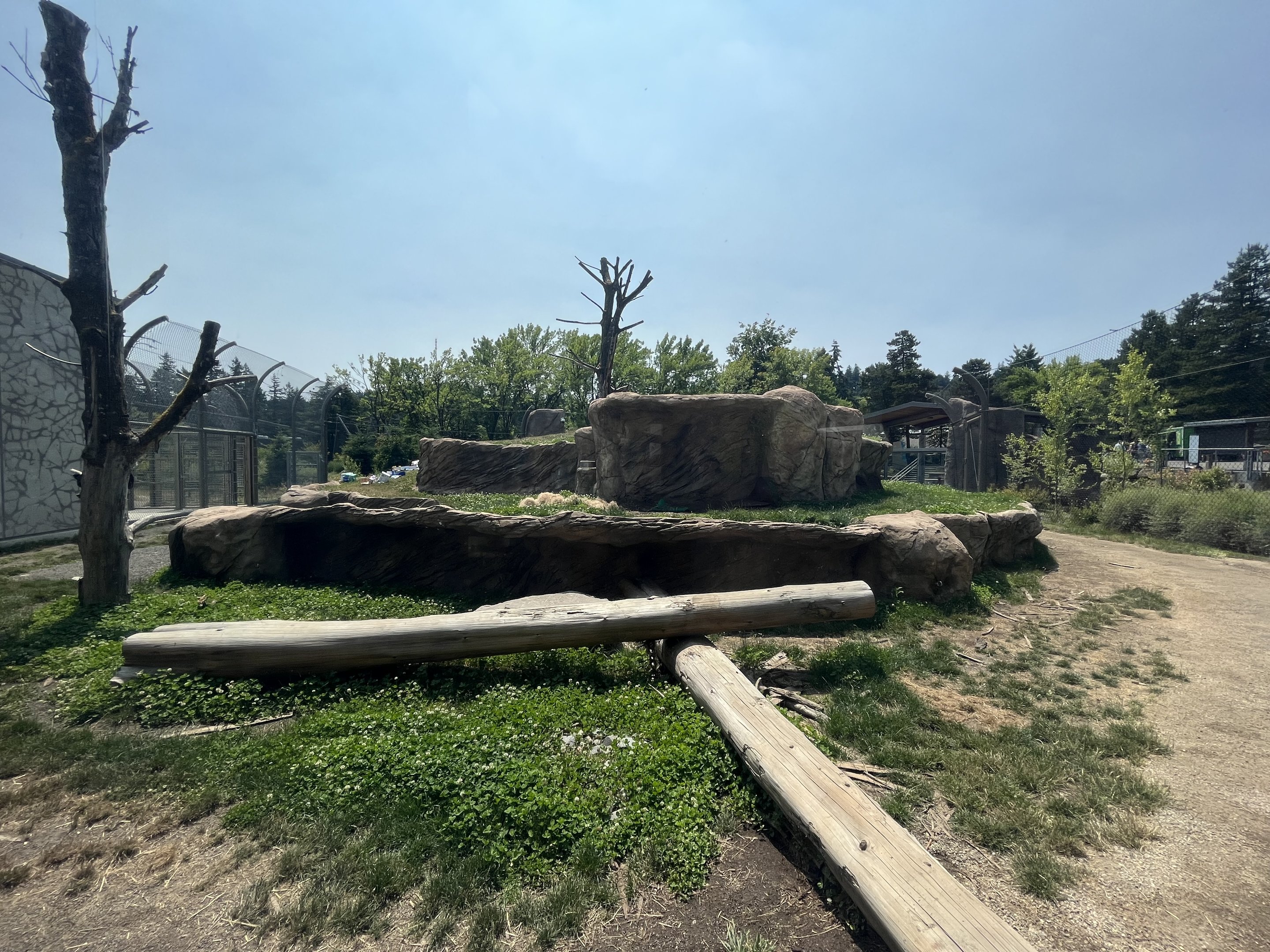 Polar Passage - New in 2021