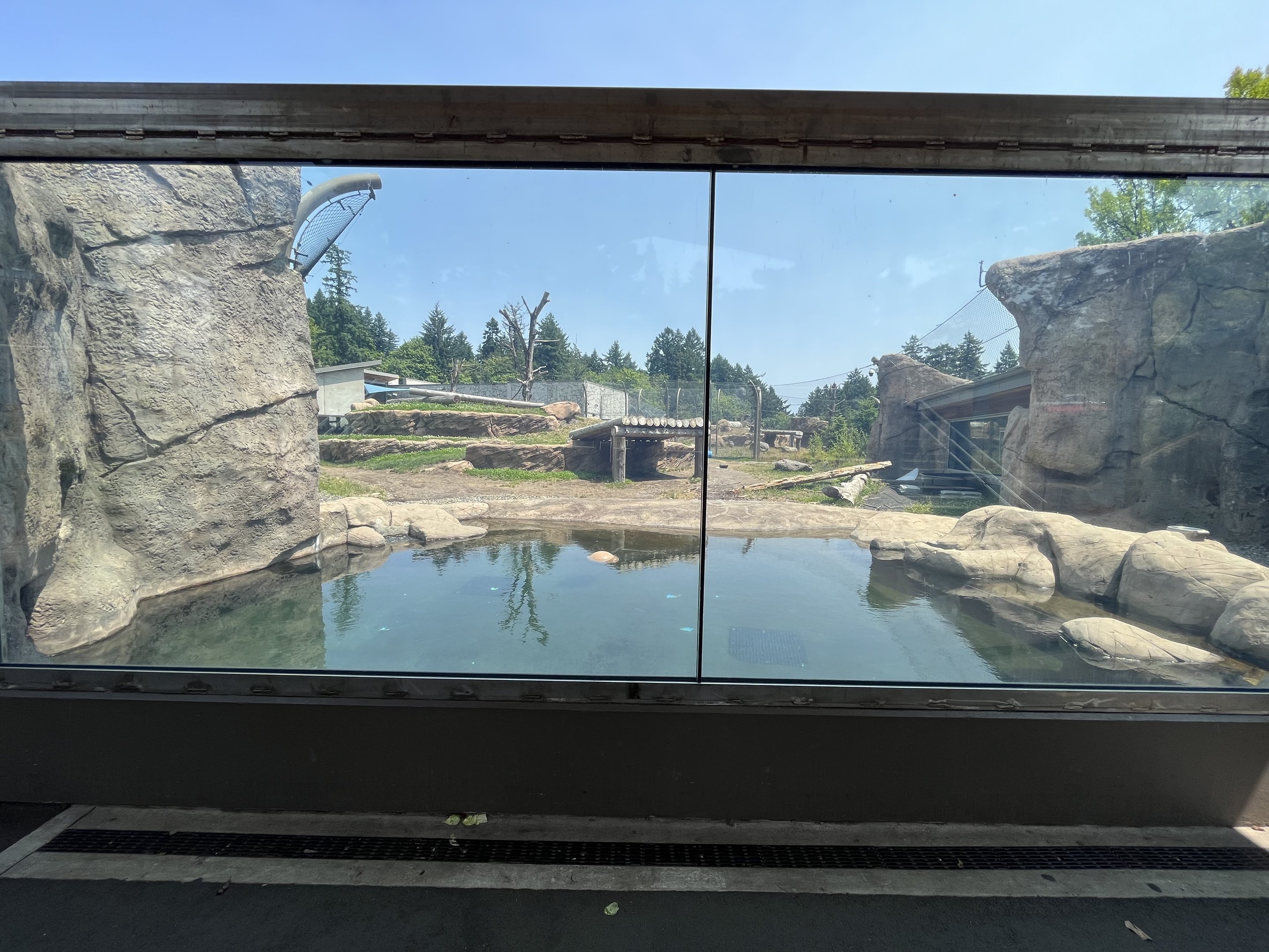 Polar Passage - New in 2021