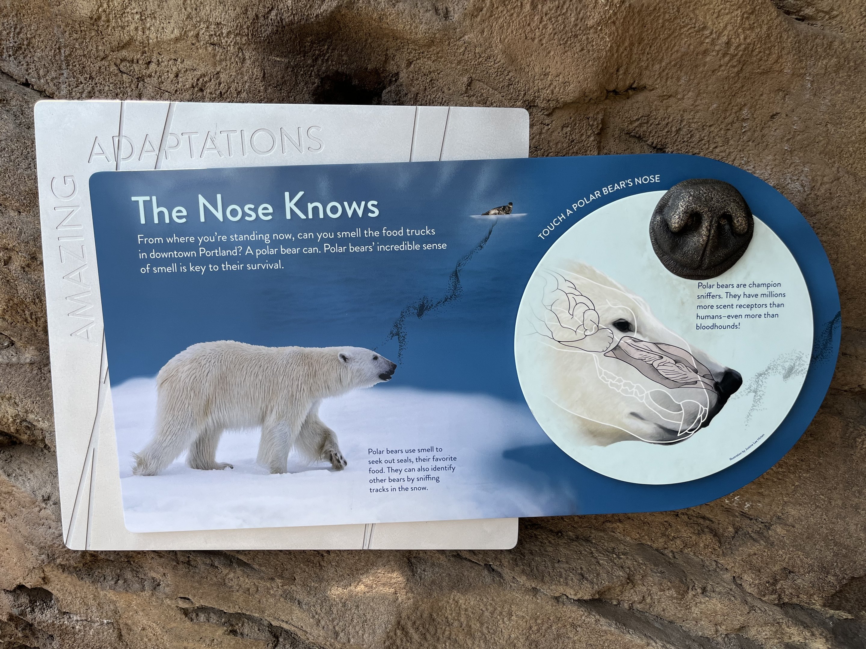 Polar Passage - New in 2021