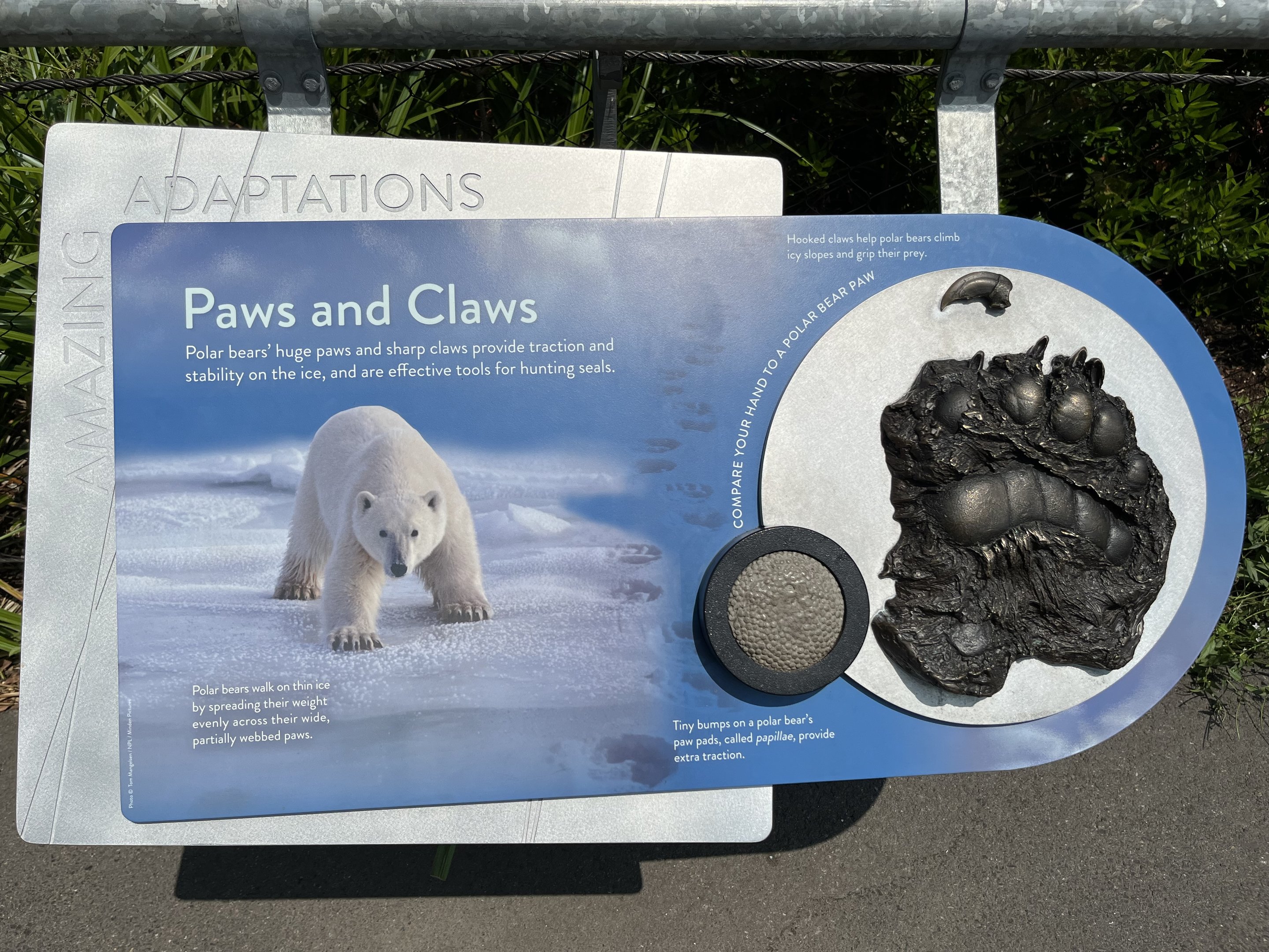 Polar Passage - New in 2021