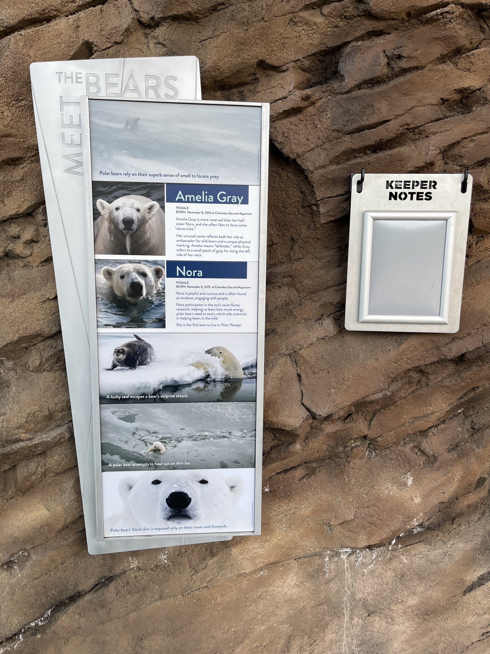 Polar Passage - New in 2021