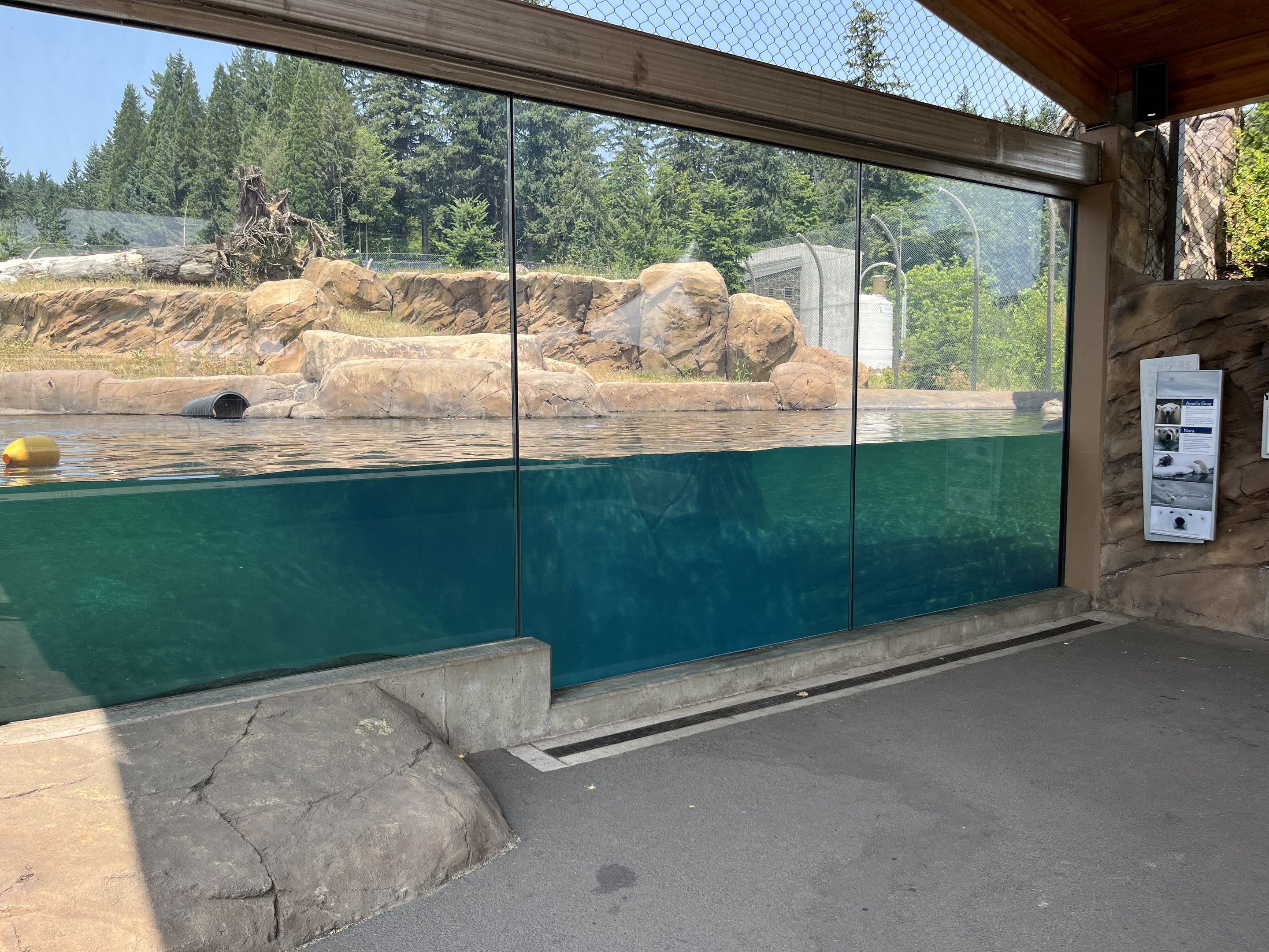 Polar Passage - New in 2021