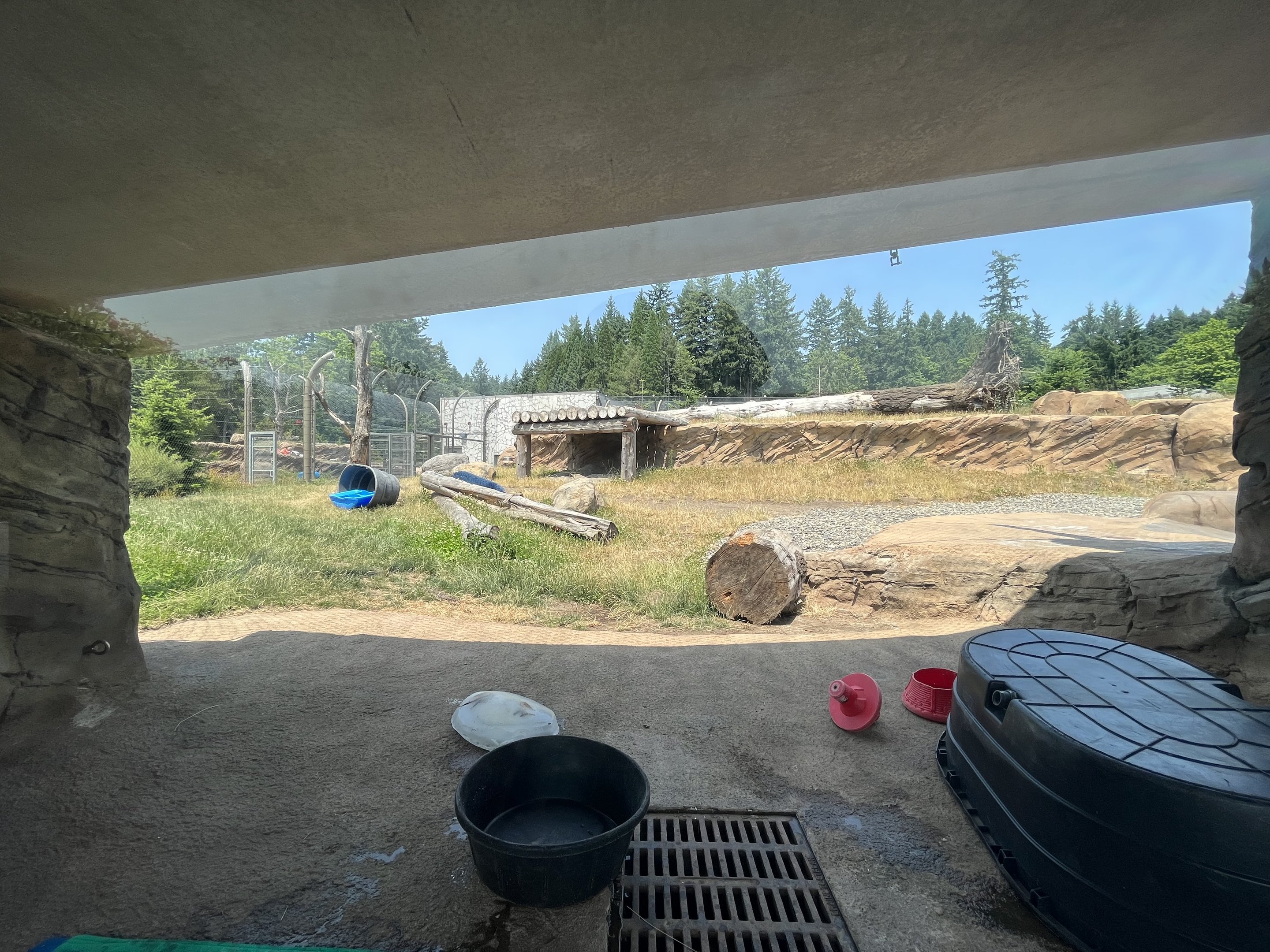 Polar Passage - New in 2021