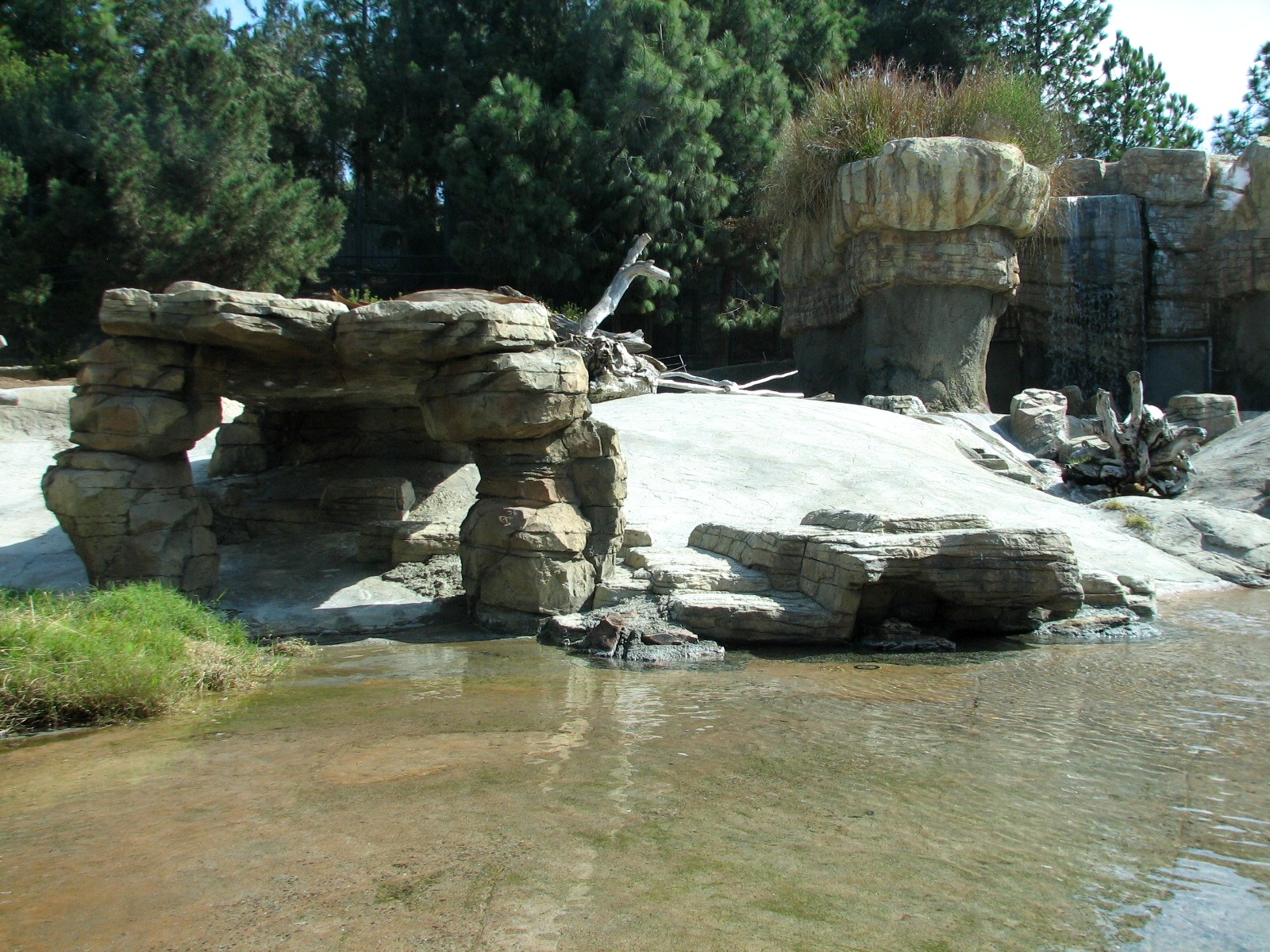 Polar Rim - Polar Bear Plunge - Polar Bear Exhibit