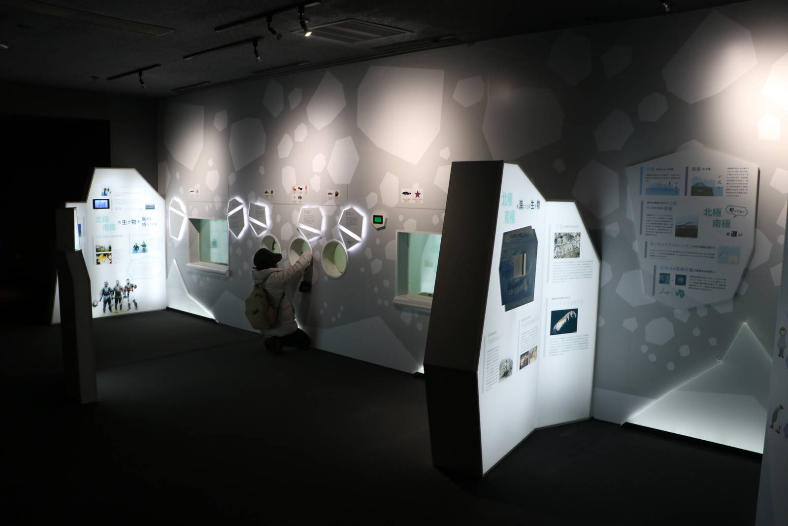 Polar tanks - Tokyo Sea Life Park, February 2016