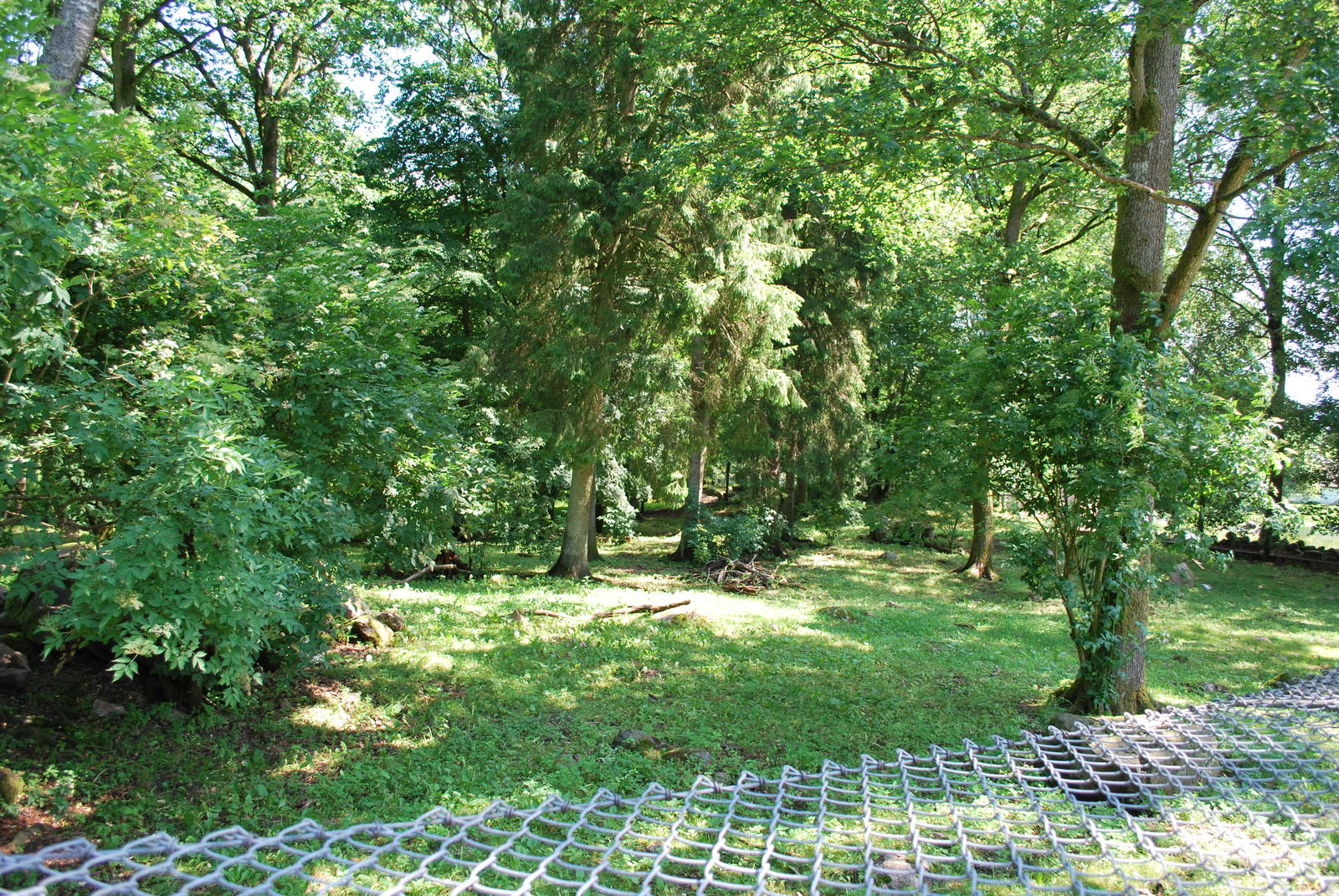 Polar wolf exhibit, July 2009