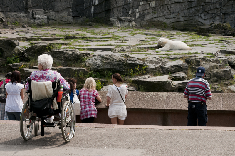 Polarbear enclosure at Berlin Tierpark