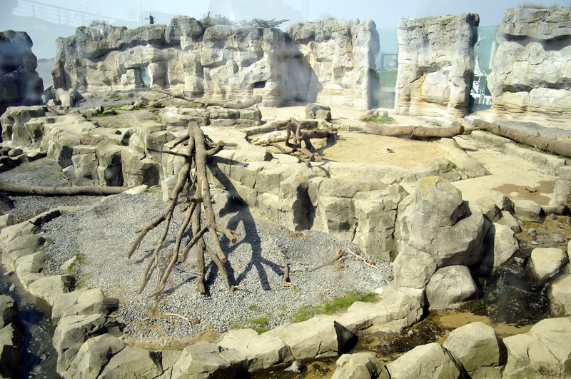 Polarbear-enclosure at Bremerhaven zoo
