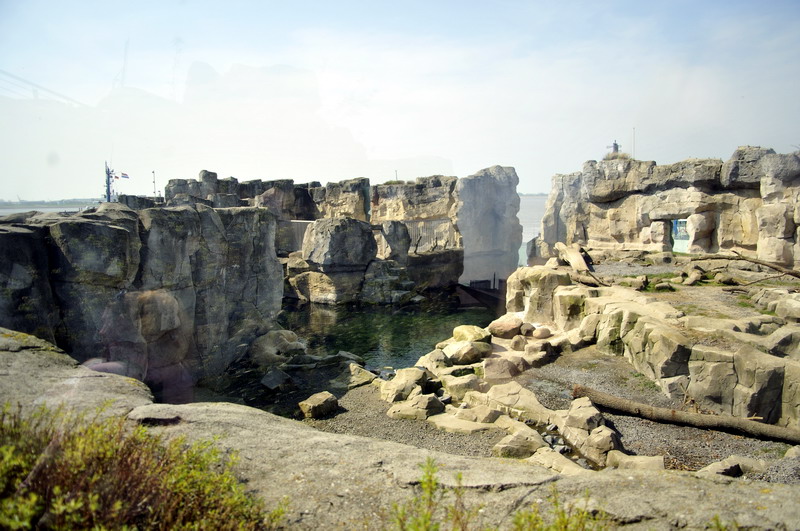 Polarbear-enclosure at Bremerhaven zoo