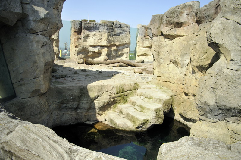 Polarbear-enclosure at Bremerhaven zoo