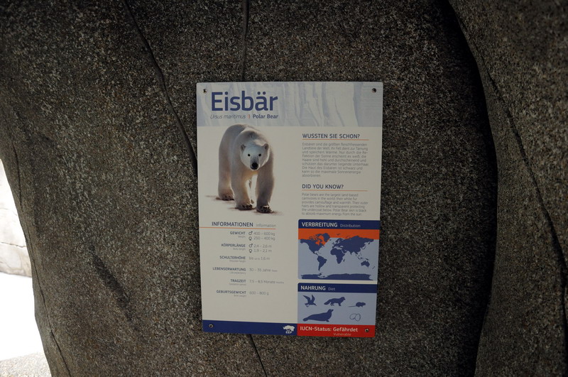 Polarbear sign at Hamburg
