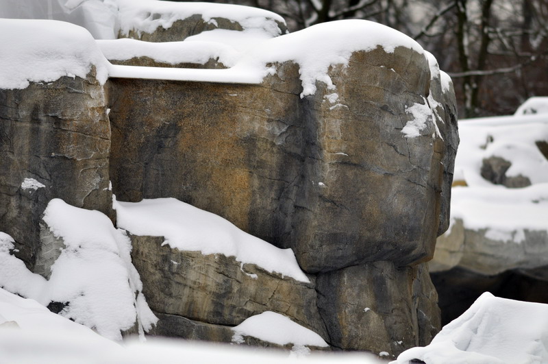 Polarbear-Waterfall at Hannover zoo