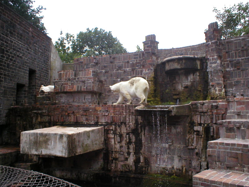 Polarbears at Leipzig in 2003