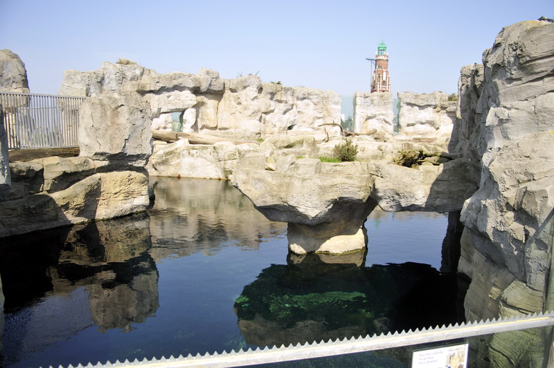 Polarfox-enclosure at Bremerhaven zoo