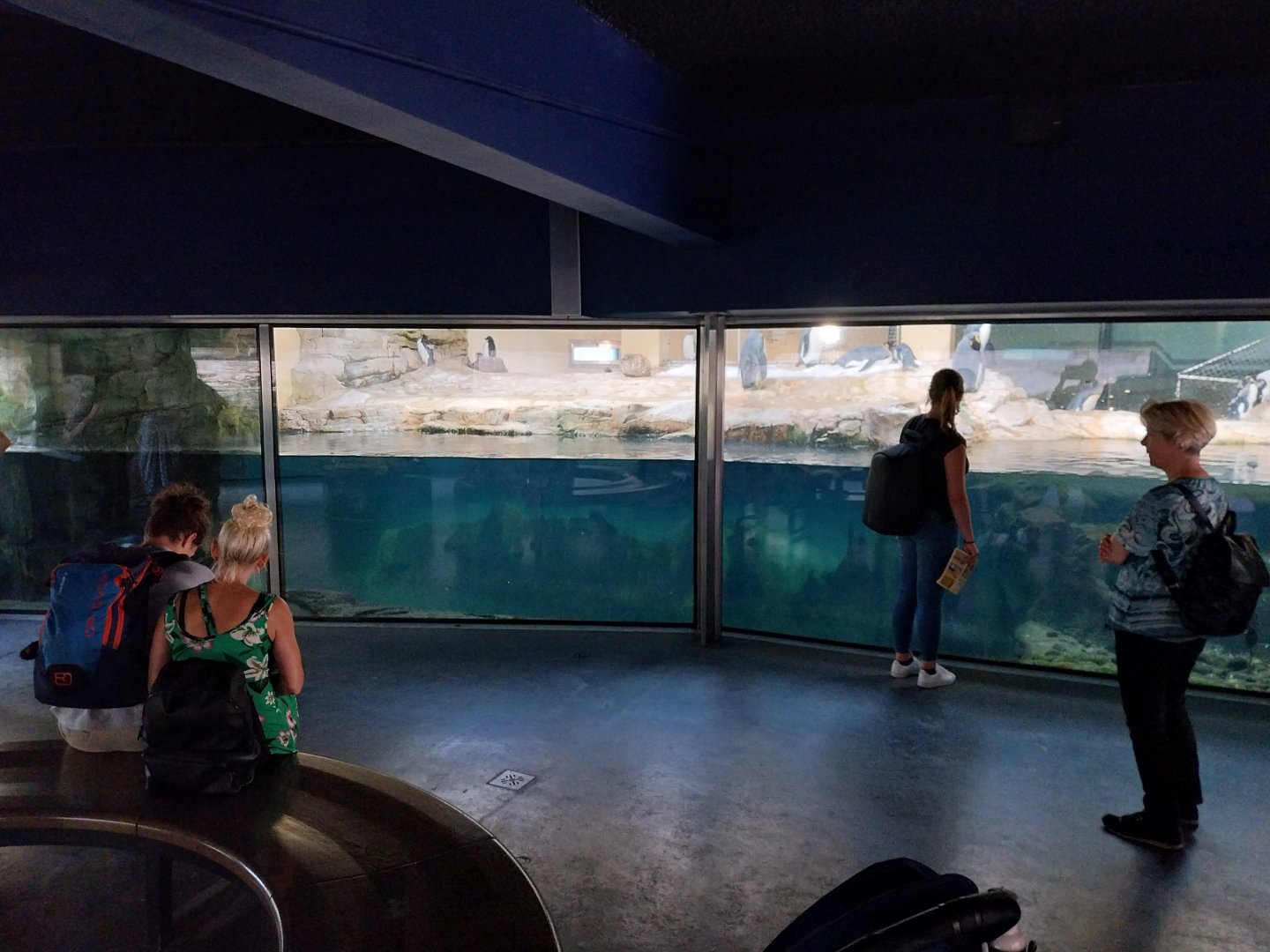 Polarium - Upper viewing point