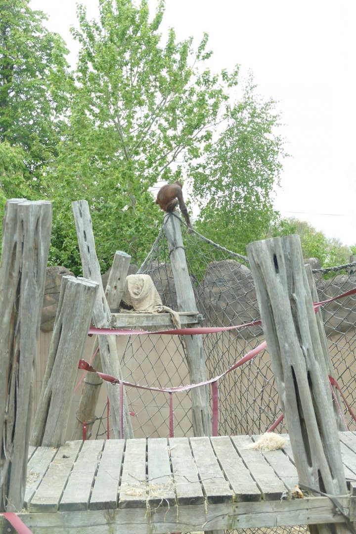 Pole with a view? April 2022