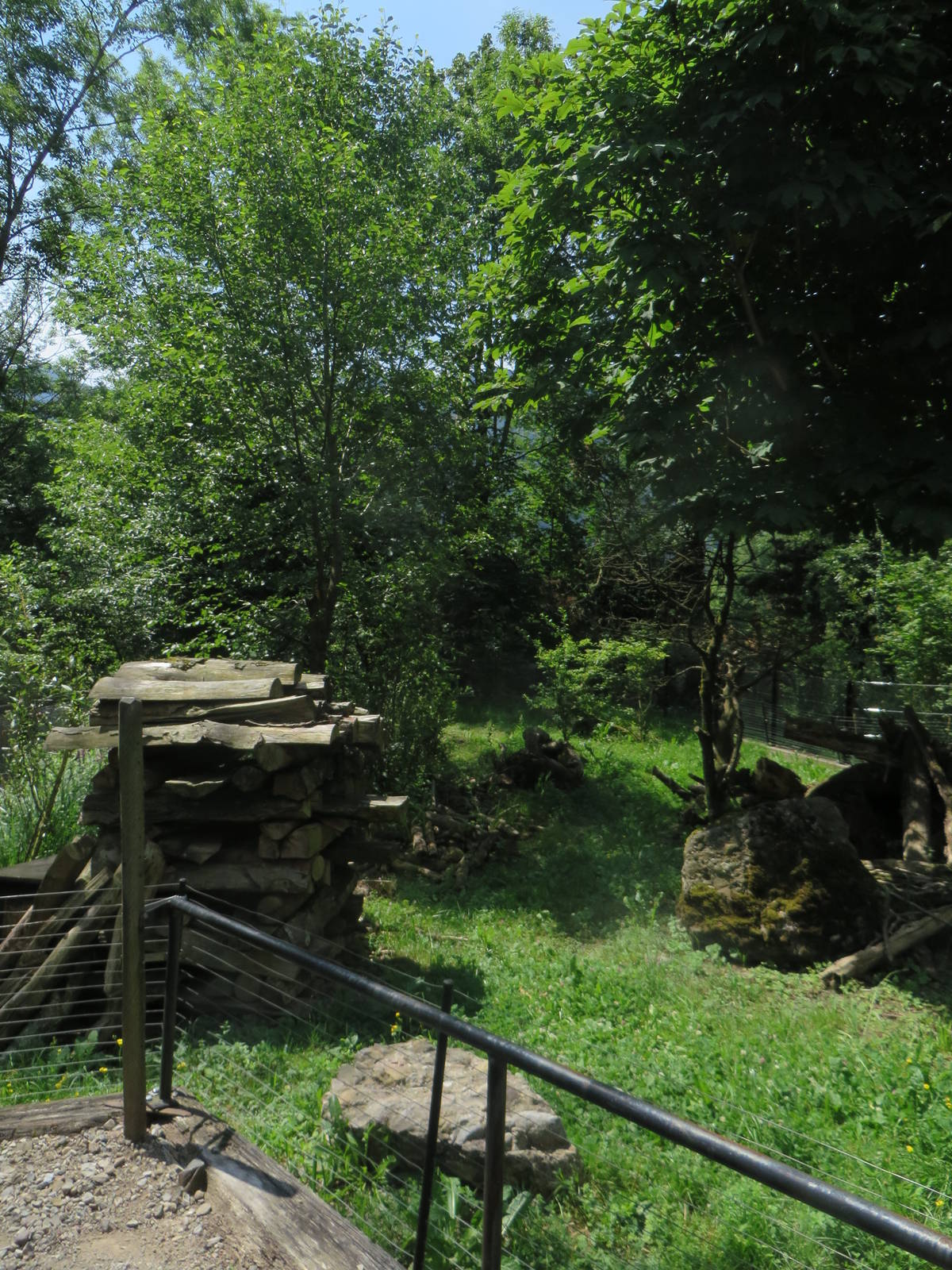 Polecat enclosure