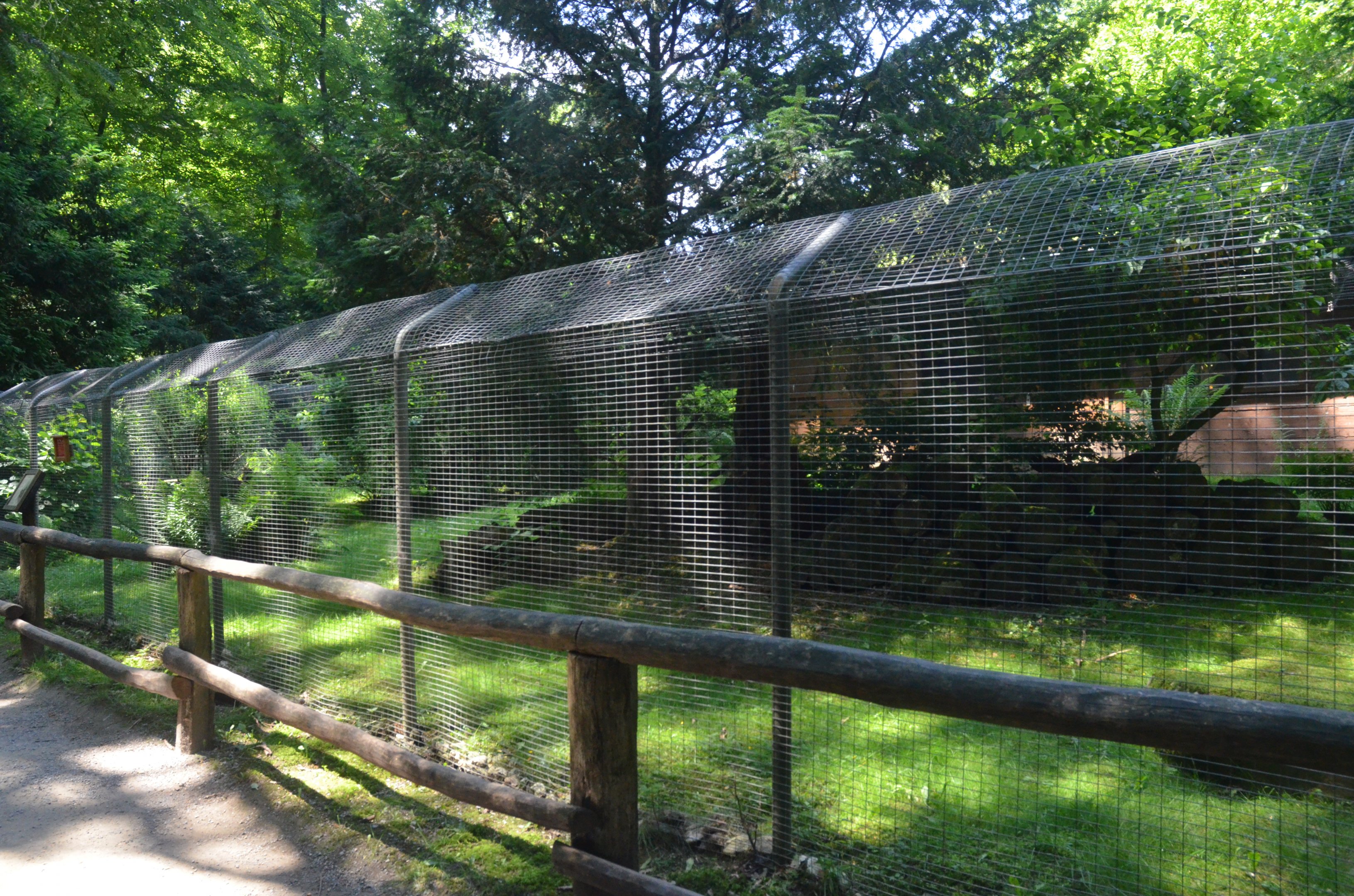 Polecat Ferret Enclosure at Wildpark Grafenberger Wald, 23/06/2019
