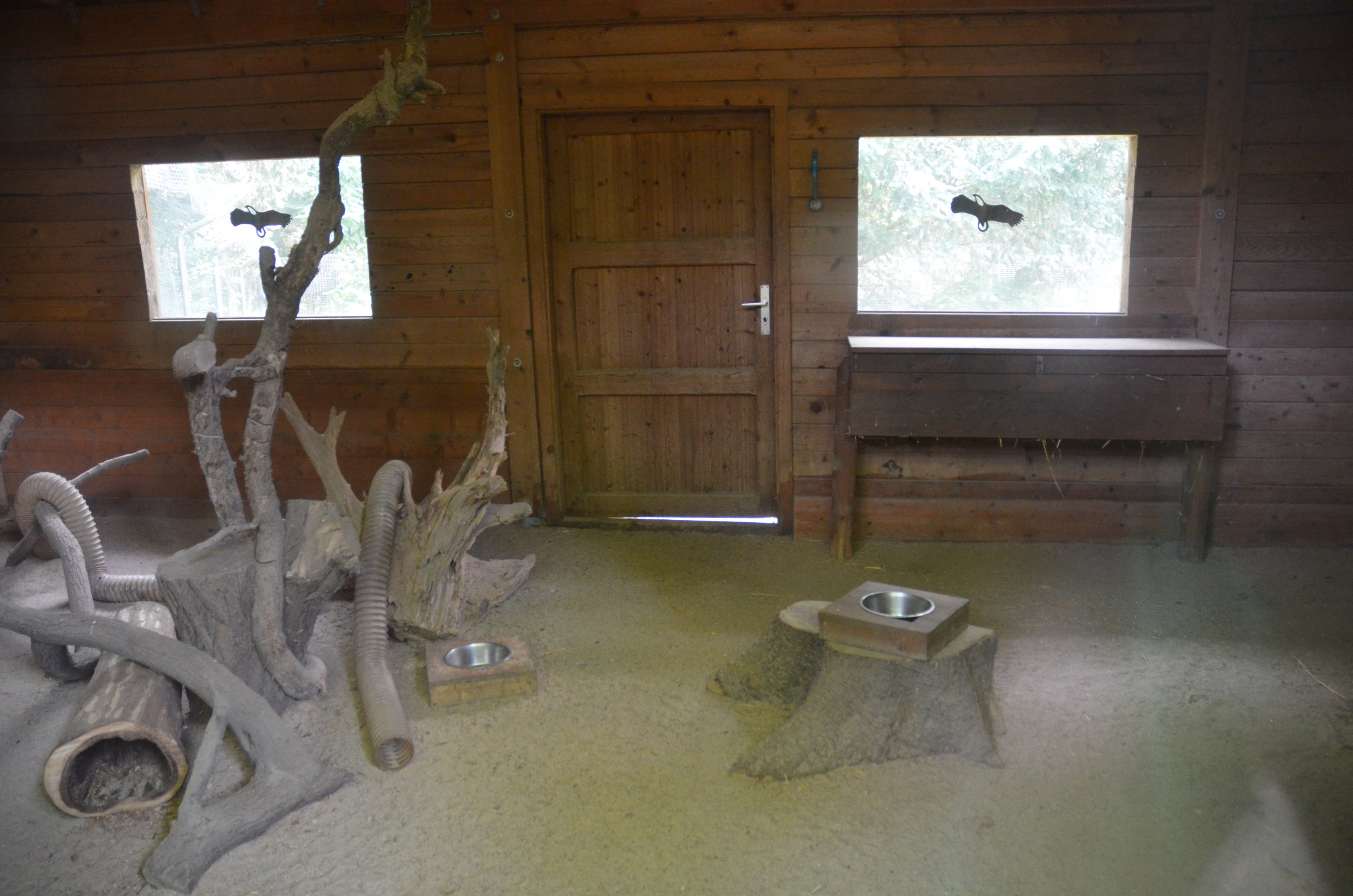 Polecat Ferret Enclosure at Wildpark Grafenberger Wald, 23/06/2019
