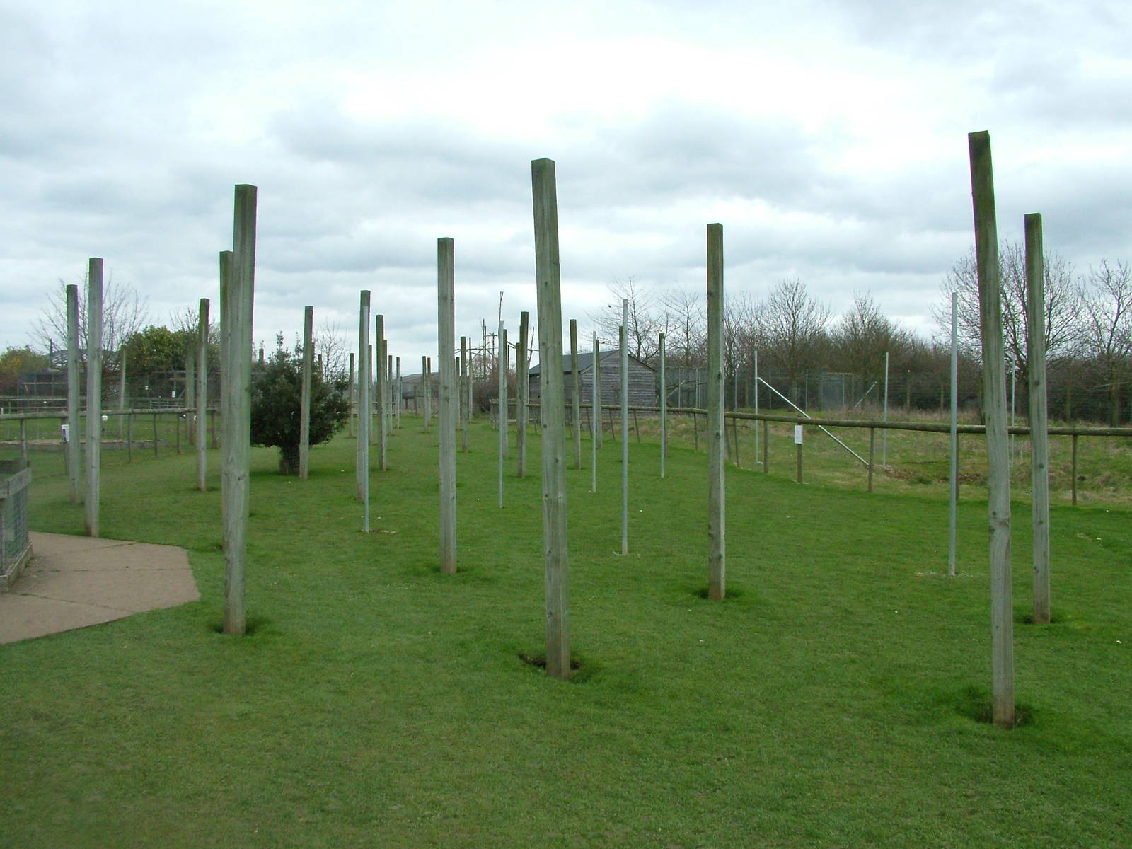 Poles at Hamerton 05/04/10