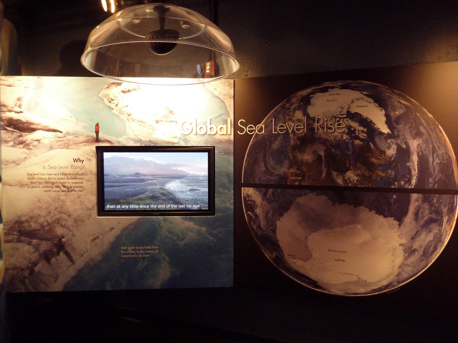 Poles In Peril - Temporary Exhibit