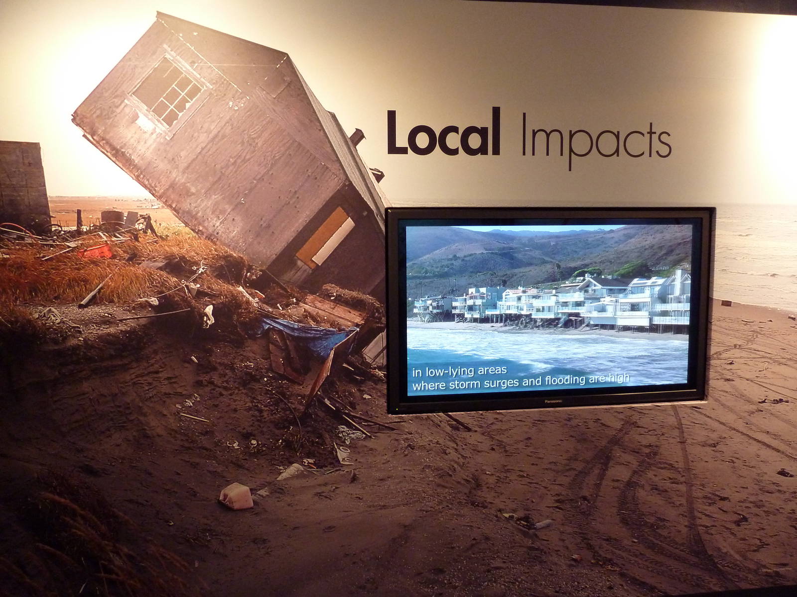 Poles In Peril - Temporary Exhibit