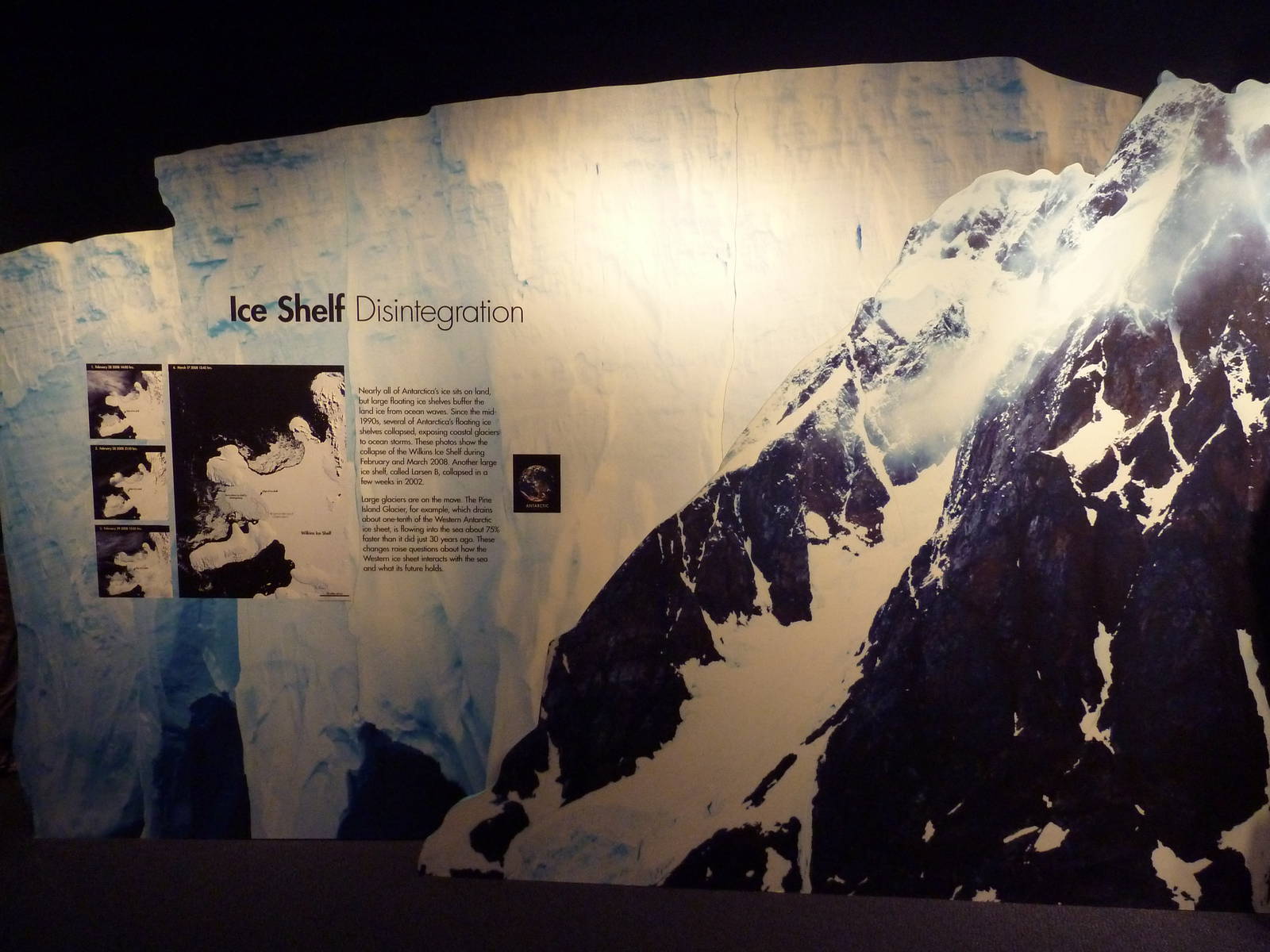 Poles In Peril - Temporary Exhibit