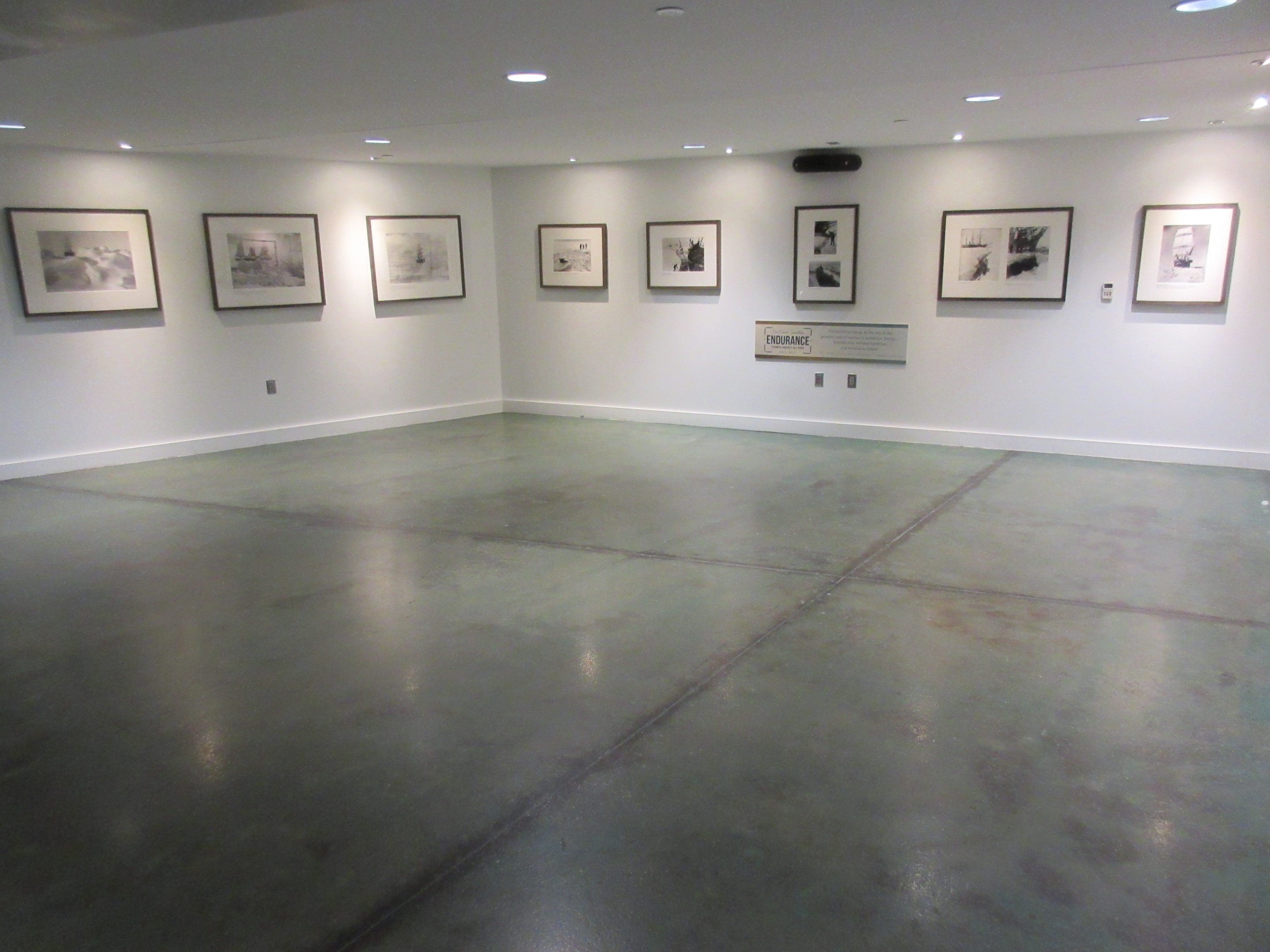 Polk Penguin Conservation Center - Art Gallery