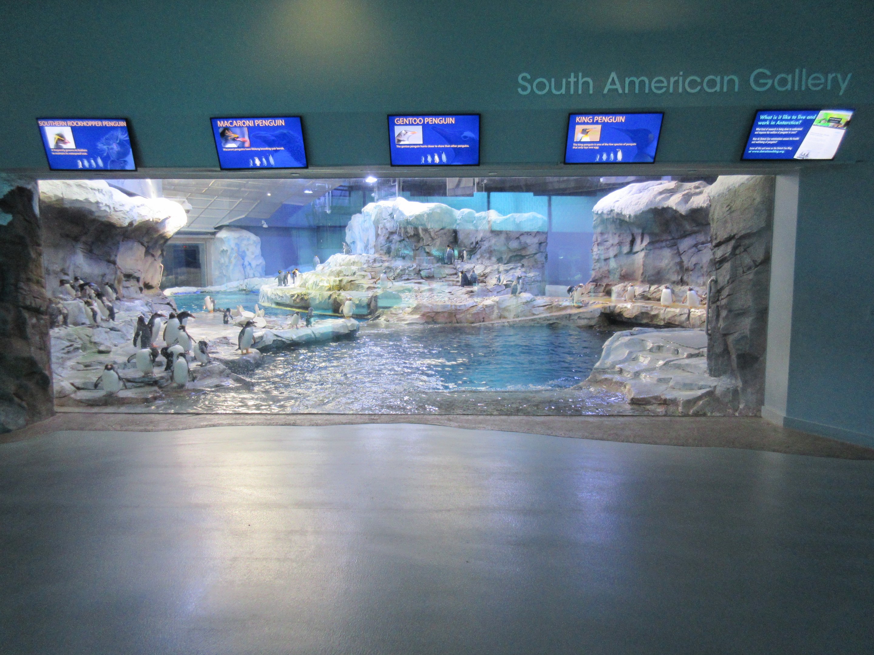 Polk Penguin Conservation Center