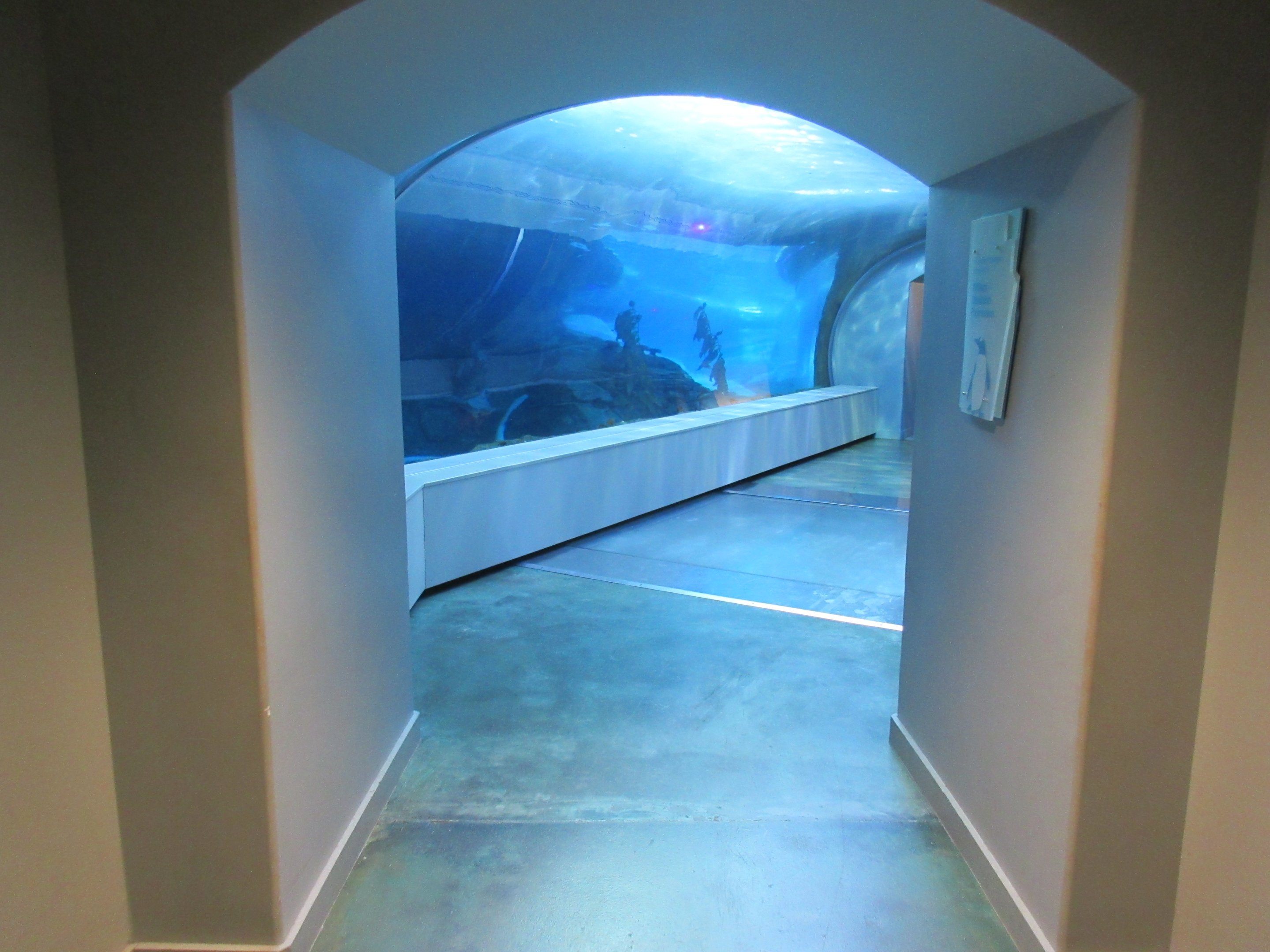 Polk Penguin Conservation Center