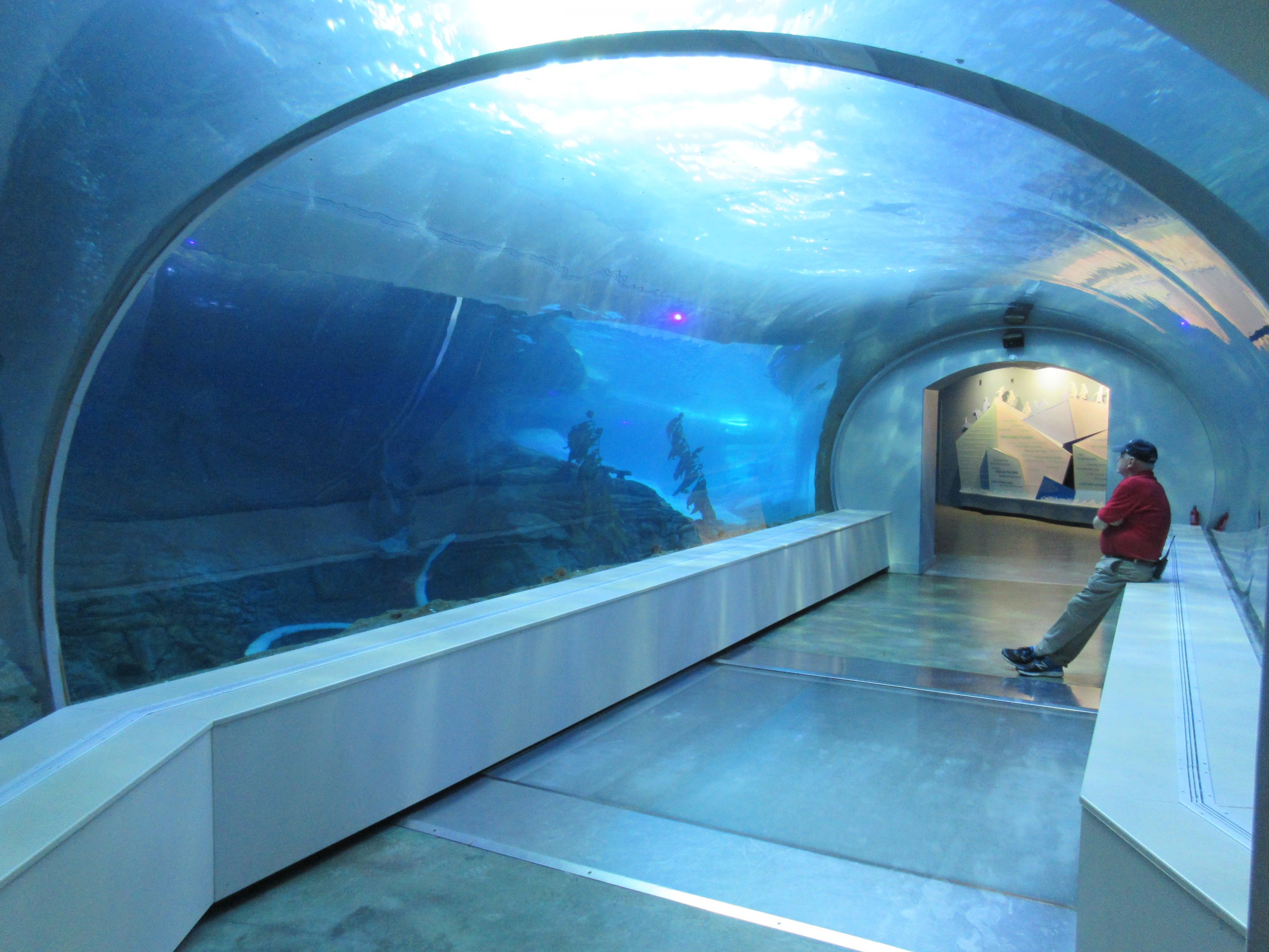 Polk Penguin Conservation Center