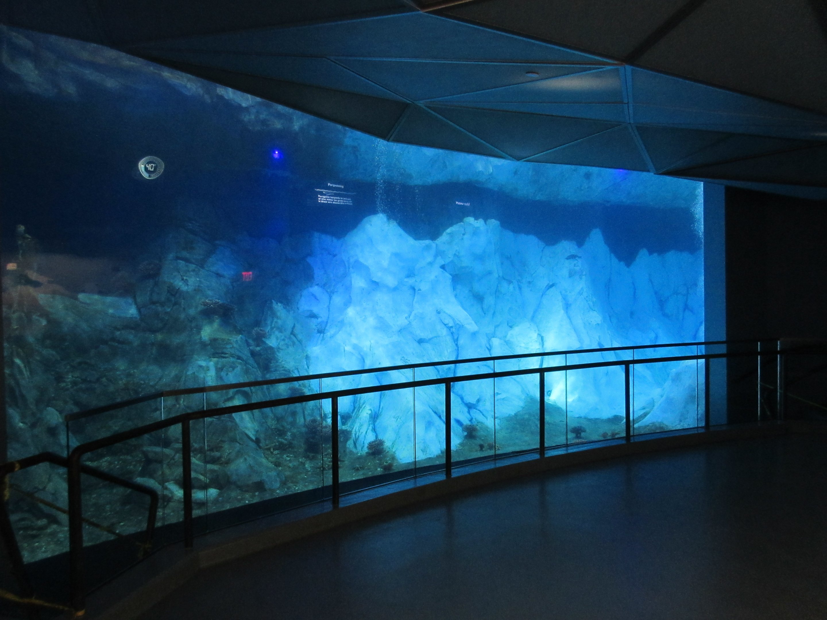 Polk Penguin Conservation Center