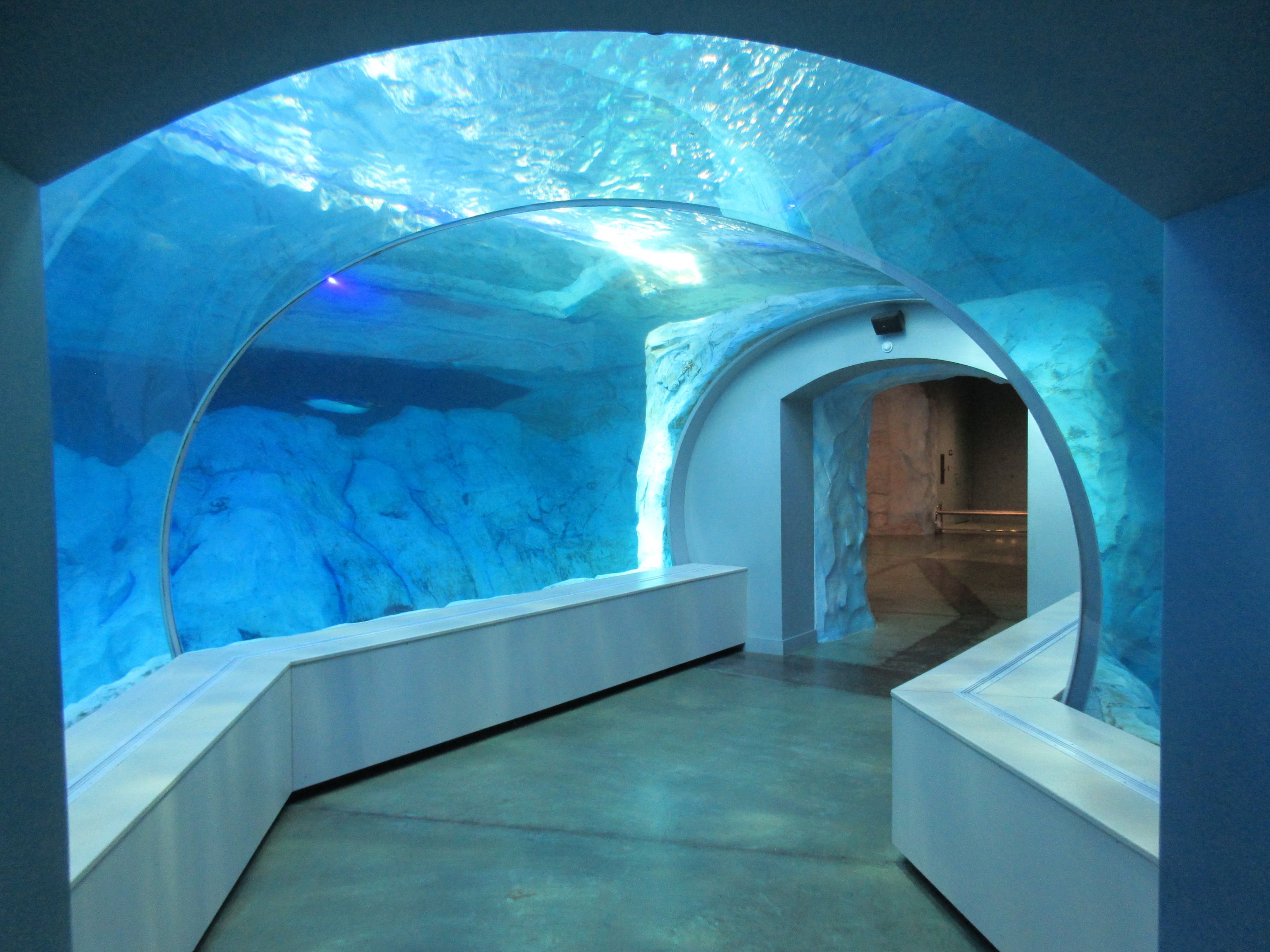 Polk Penguin Conservation Center