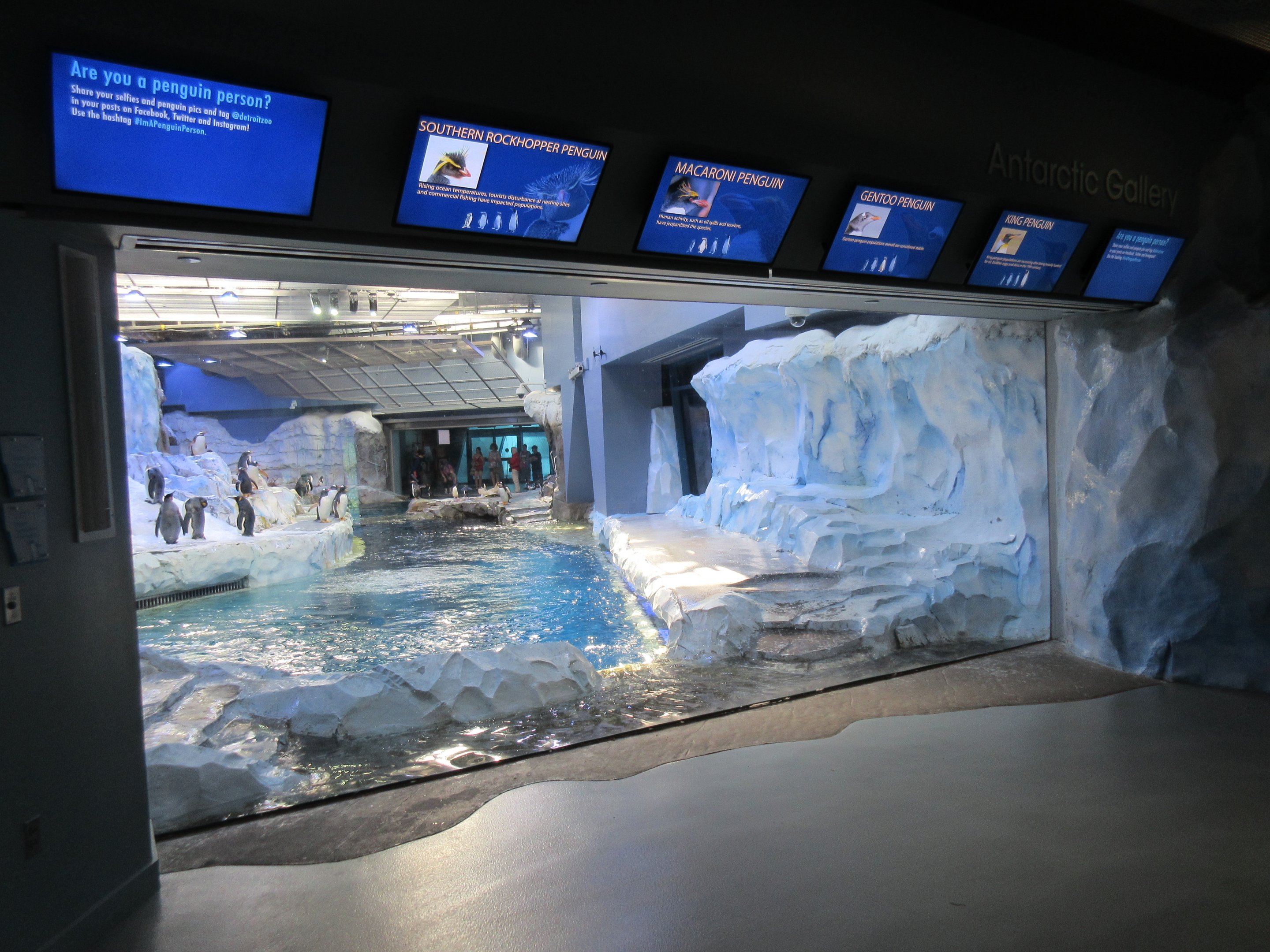 Polk Penguin Conservation Center