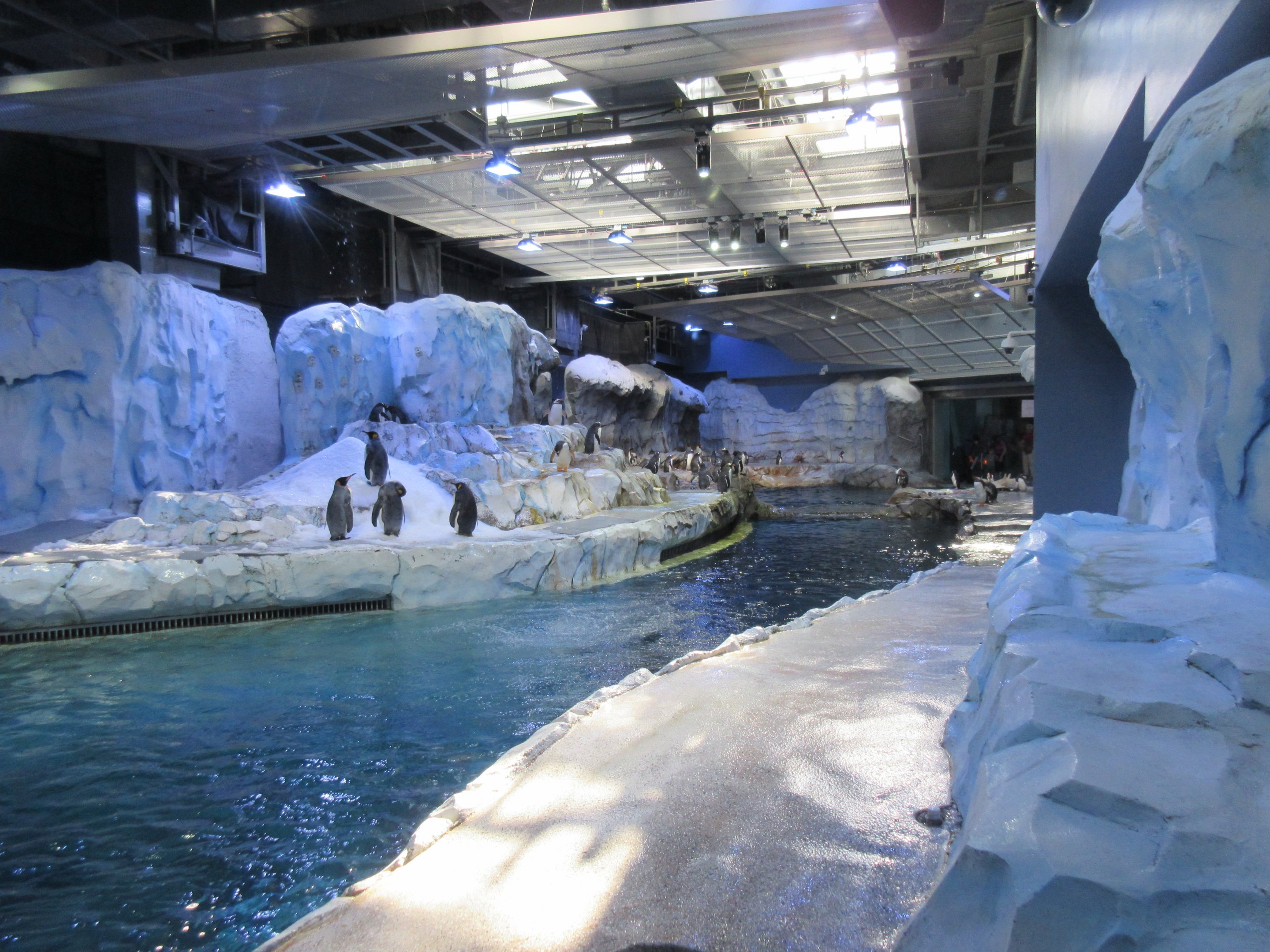 Polk Penguin Conservation Center