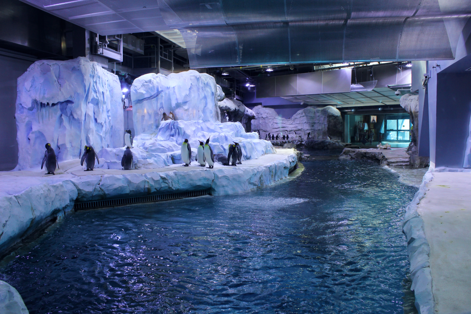 Polk Penguin Conservation Center