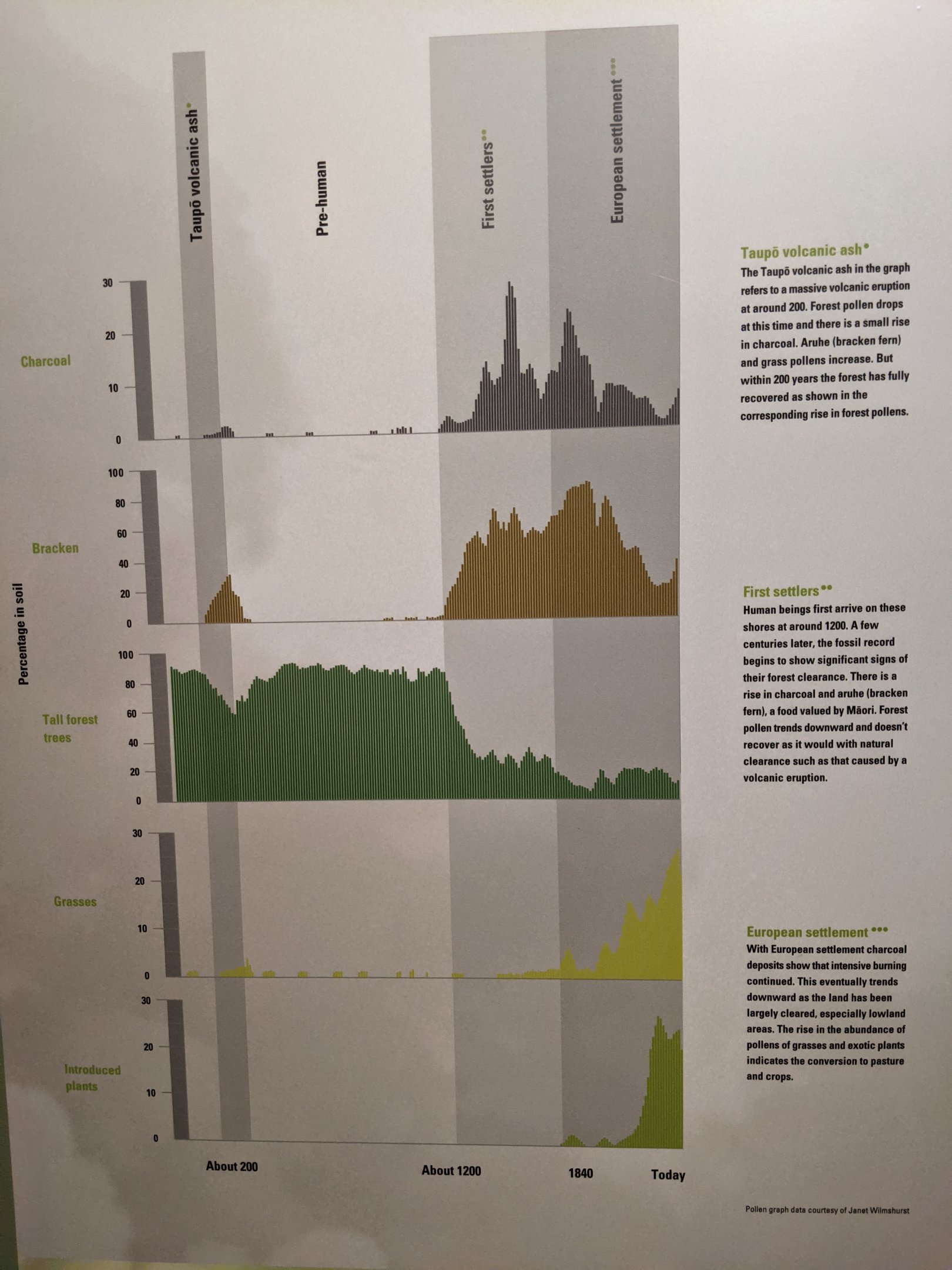 Pollen record over human settlement in NZ