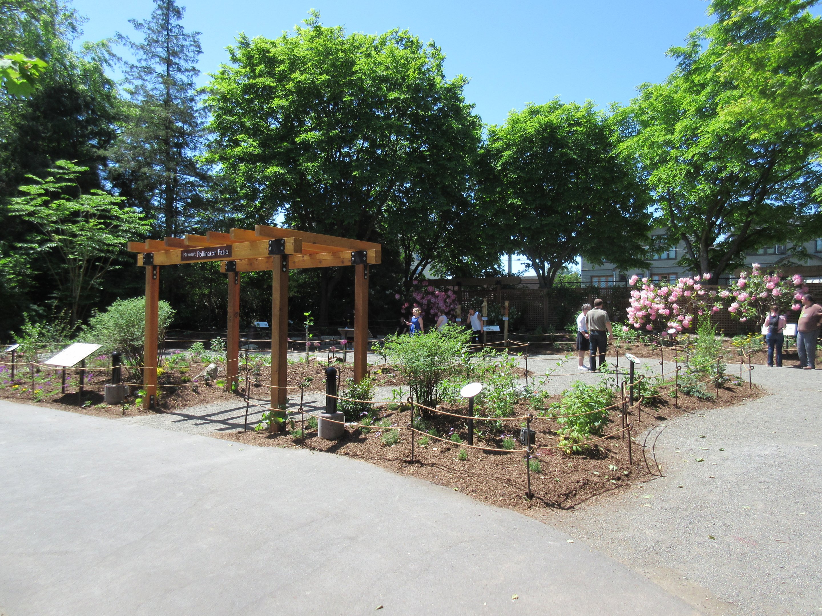 Pollinator Patio (new in 2017)