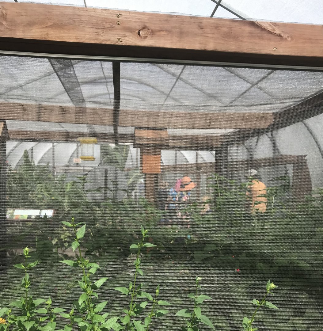 Pollinators- Alfalfa leaf-cutter bee & blue orchid mason bee exhibit.