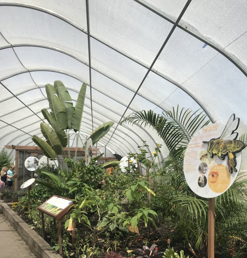 Pollinators- overview