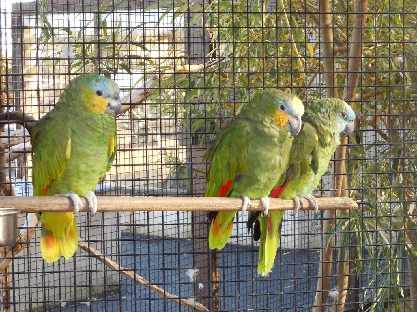 Polly, Arleigh and Mary, 23rd September 2025