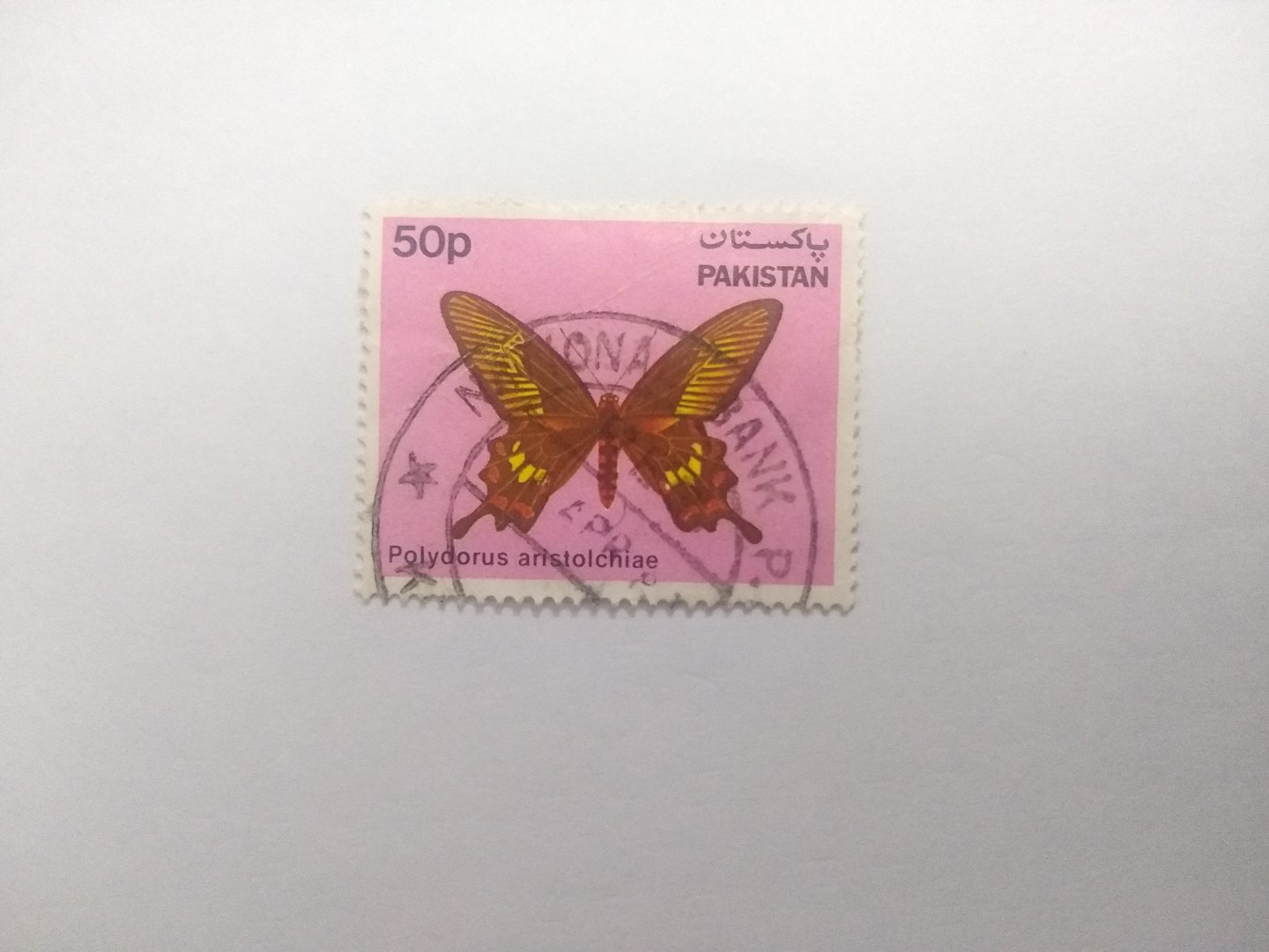 Polydorus aristolochiae - Postage stamp Pakistan